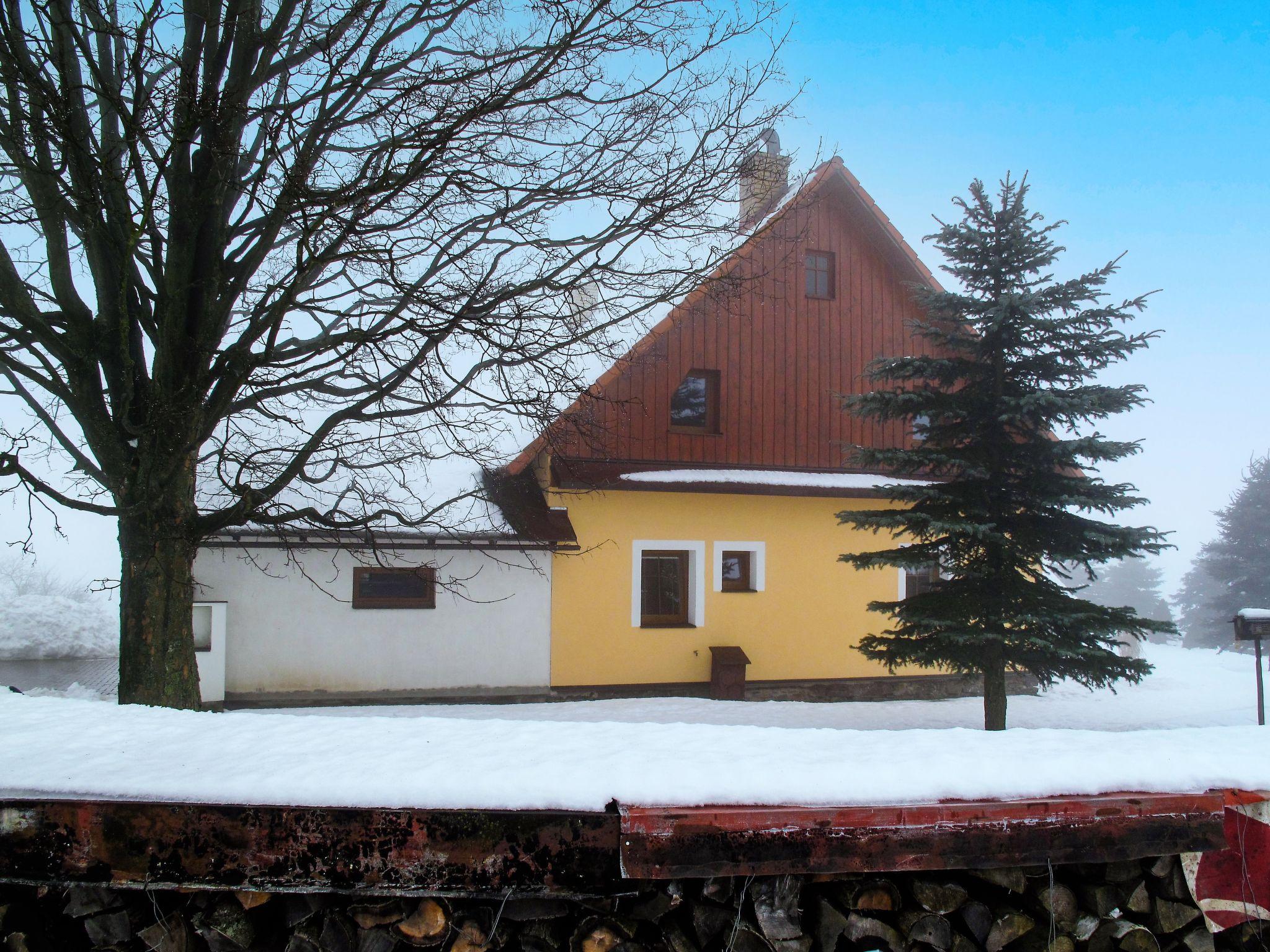 Photo 38 - Maison de 3 chambres à Rokytnice v Orlických horách avec jardin et terrasse