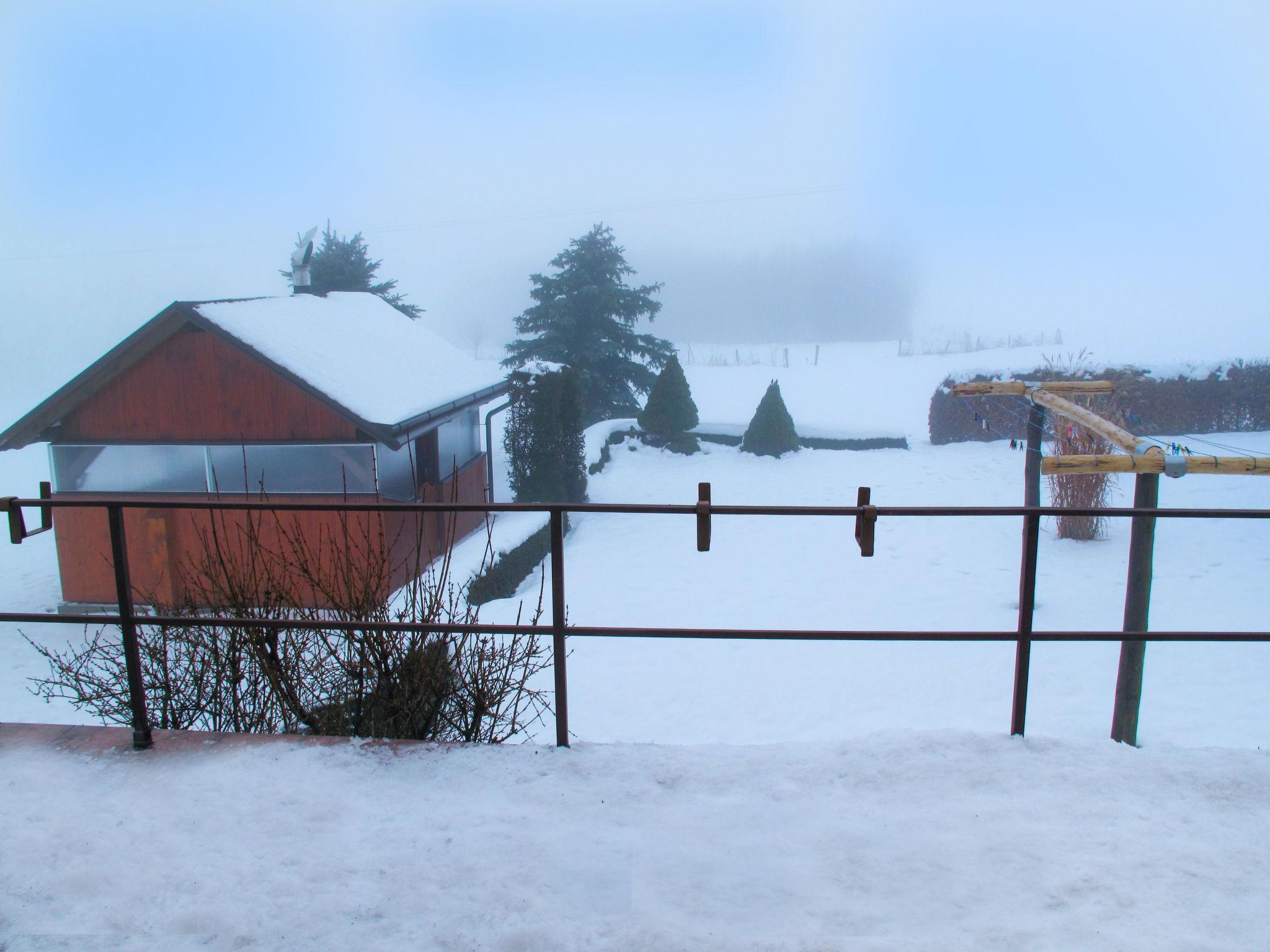 Foto 41 - Casa con 3 camere da letto a Rokytnice v Orlických horách con giardino e terrazza