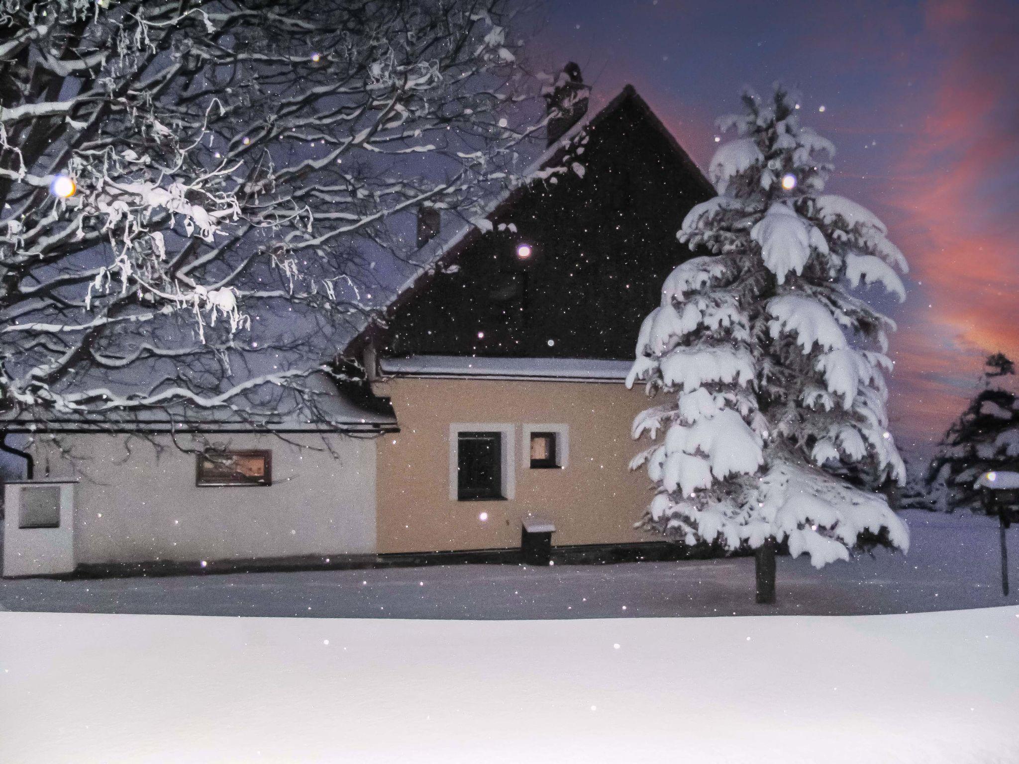 Foto 42 - Haus mit 3 Schlafzimmern in Rokytnice v Orlických horách mit garten und terrasse