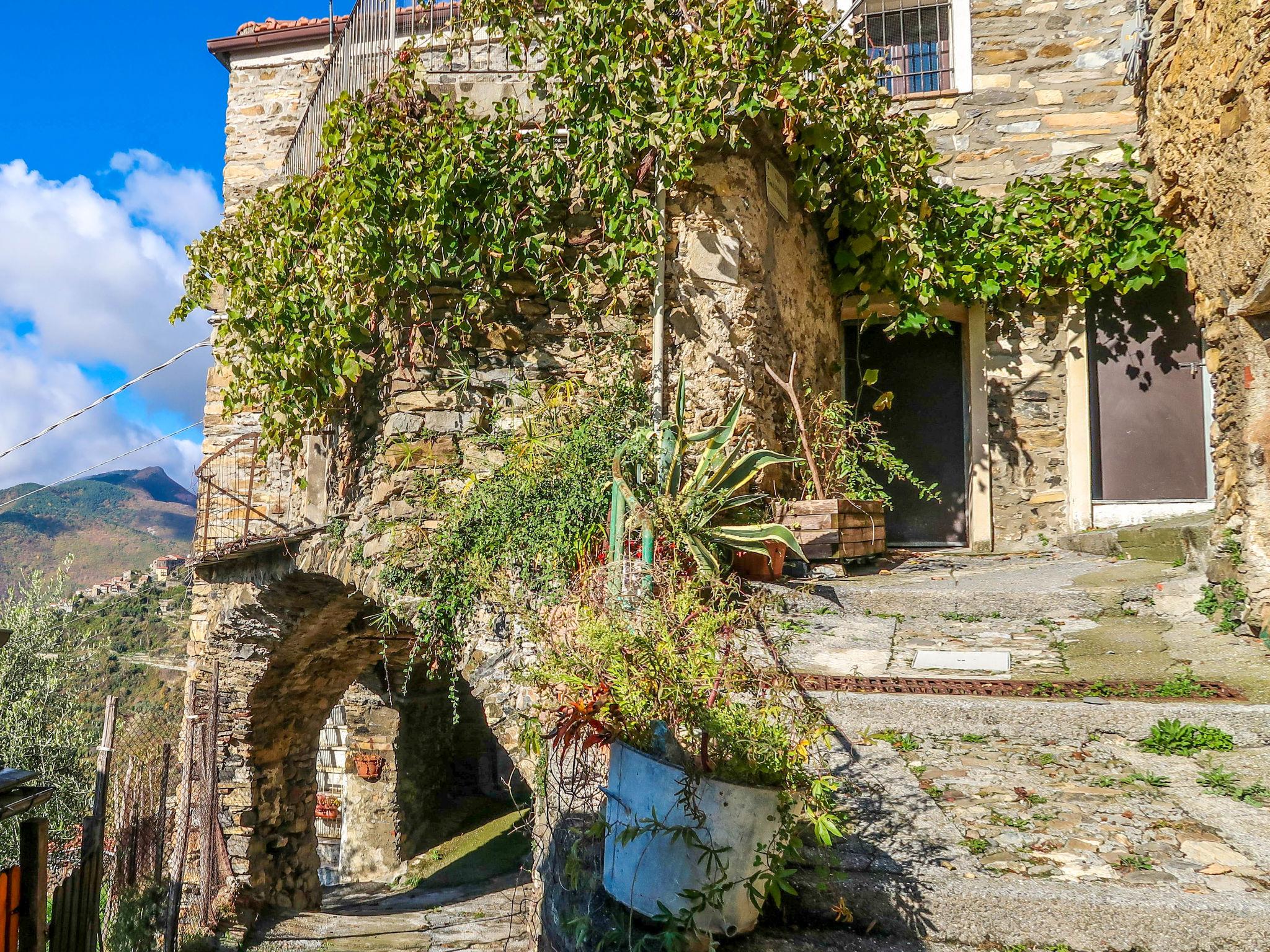 Photo 13 - Maison de 1 chambre à Molini di Triora avec jardin