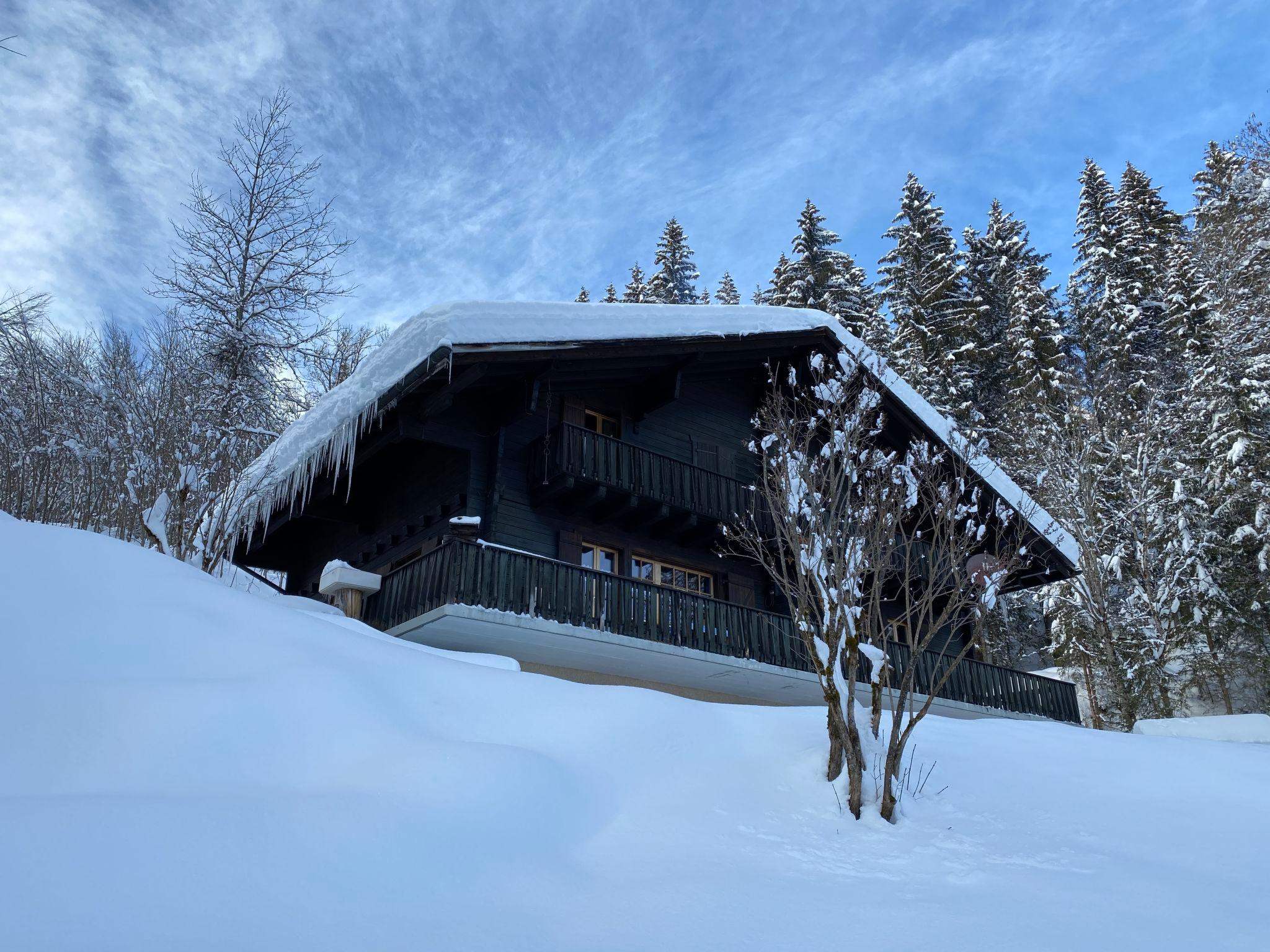 Photo 17 - Appartement de 3 chambres à Ormont-Dessus avec vues sur la montagne