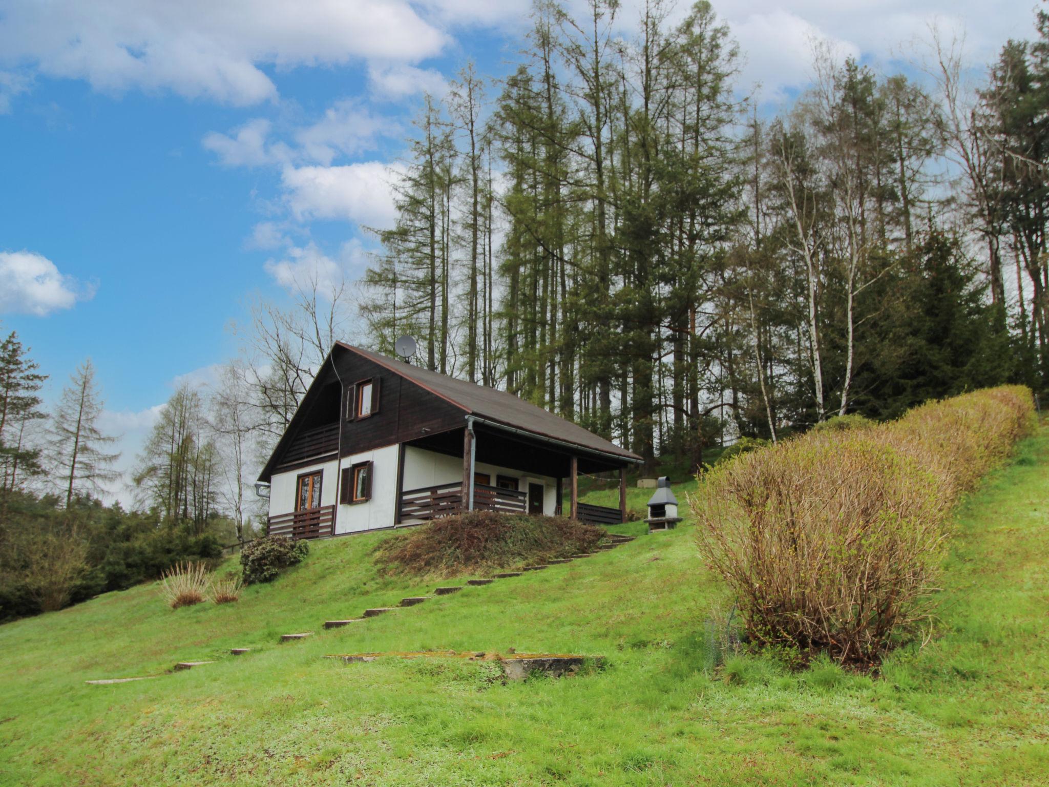 Photo 1 - Maison de 3 chambres à Krásná Lípa avec jardin et terrasse