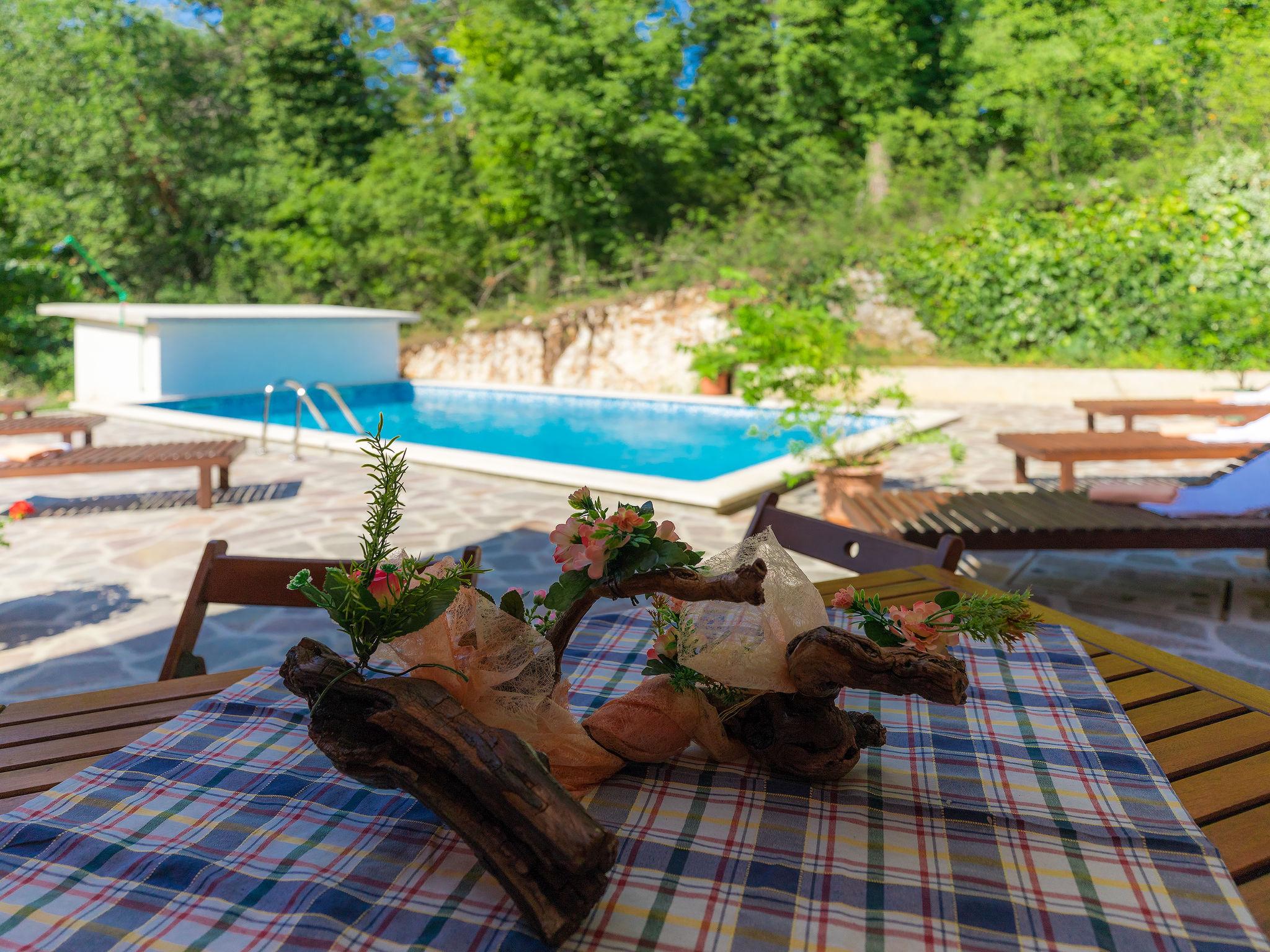 Photo 48 - Appartement de 4 chambres à Žminj avec piscine privée et jardin