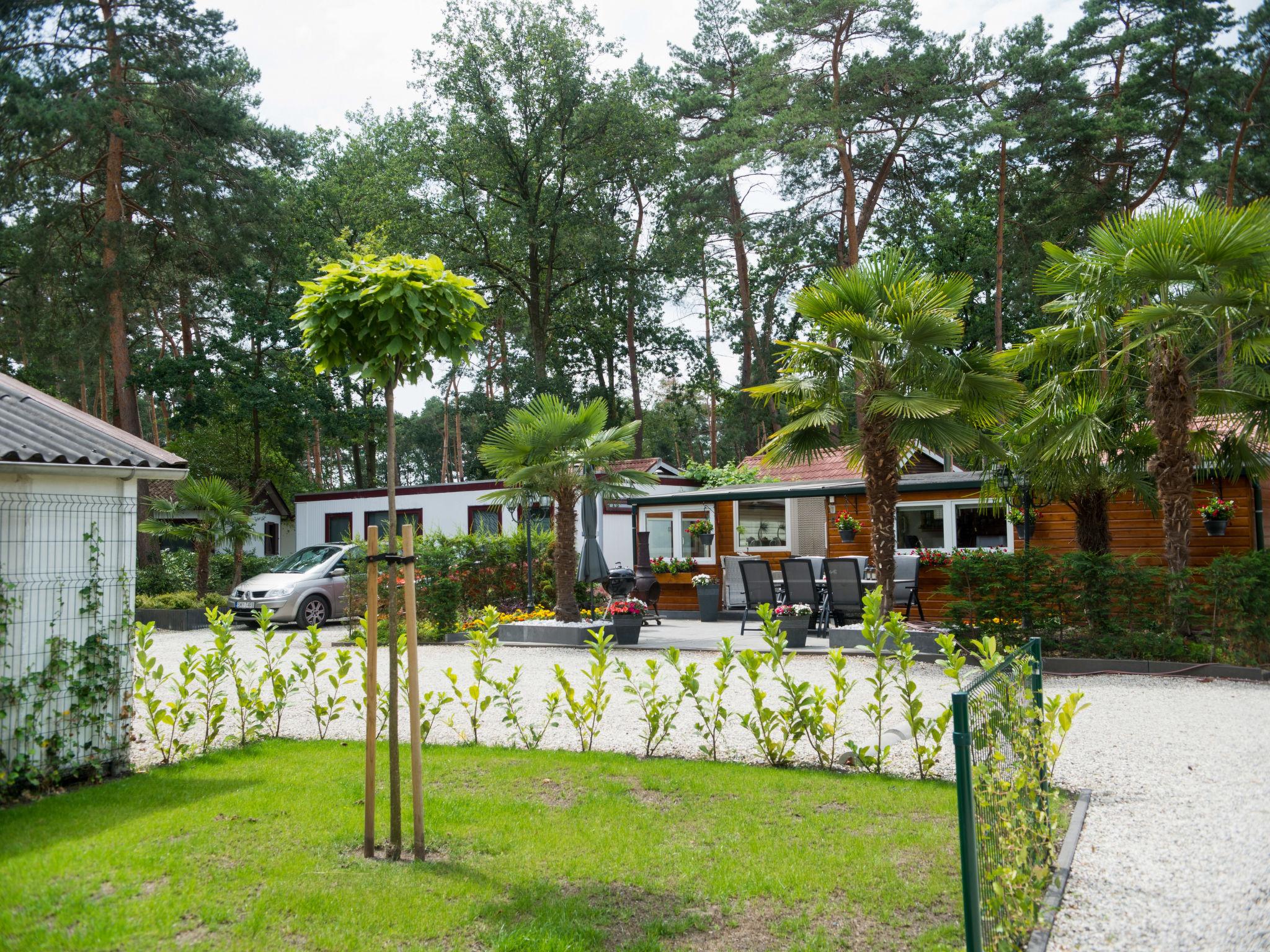 Photo 5 - Maison de 1 chambre à Schinveld avec jardin et terrasse