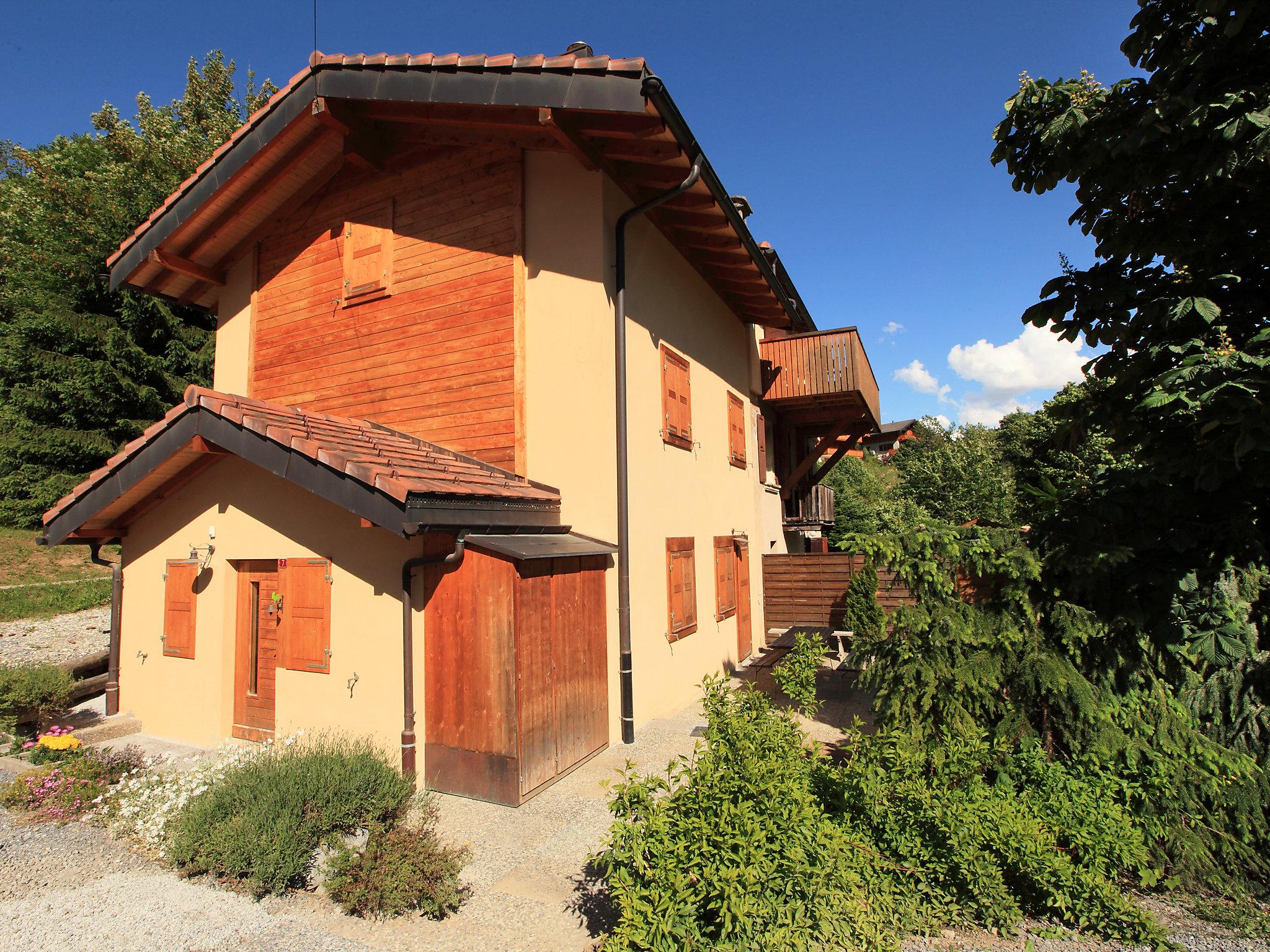 Foto 20 - Appartamento con 2 camere da letto a Leytron con terrazza e vista sulle montagne