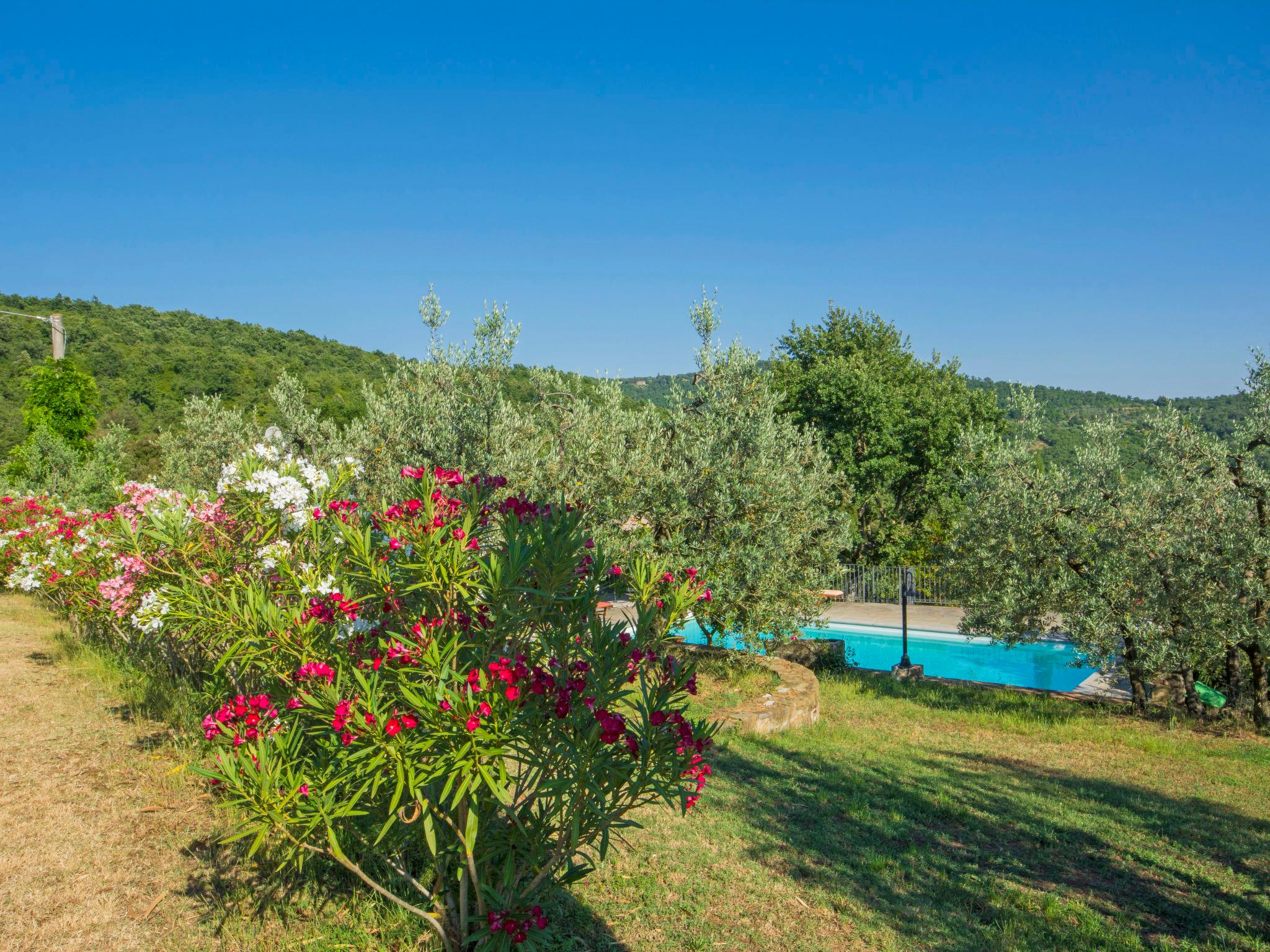 Foto 21 - Casa con 3 camere da letto a Laterina Pergine Valdarno con piscina privata e giardino