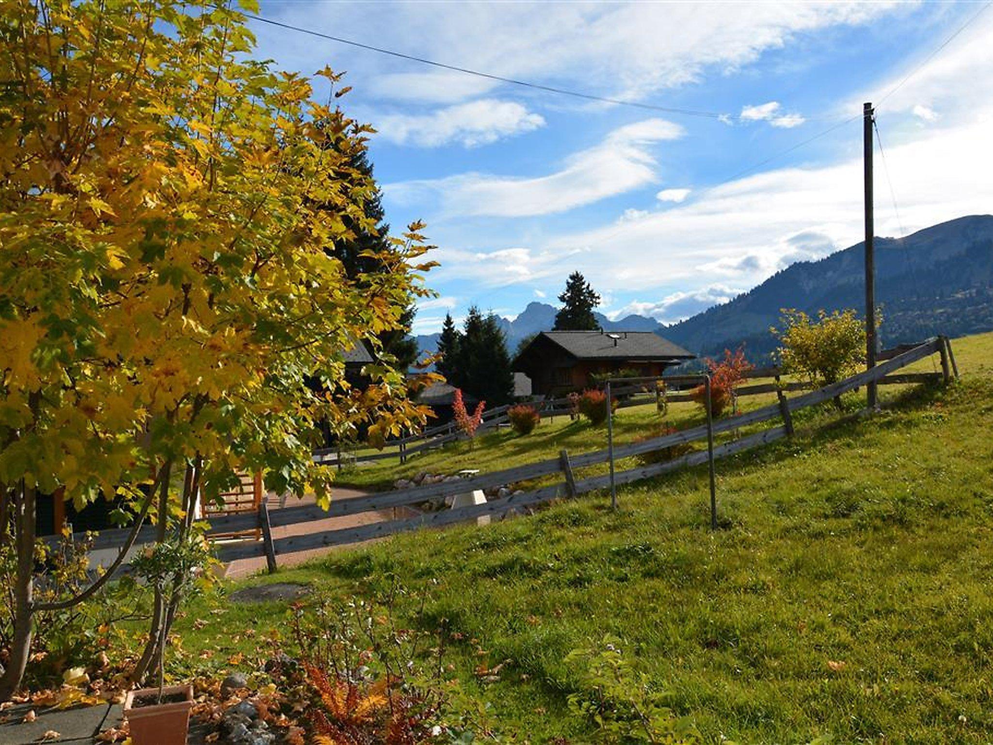 Photo 12 - Appartement de 3 chambres à Gessenay avec vues sur la montagne