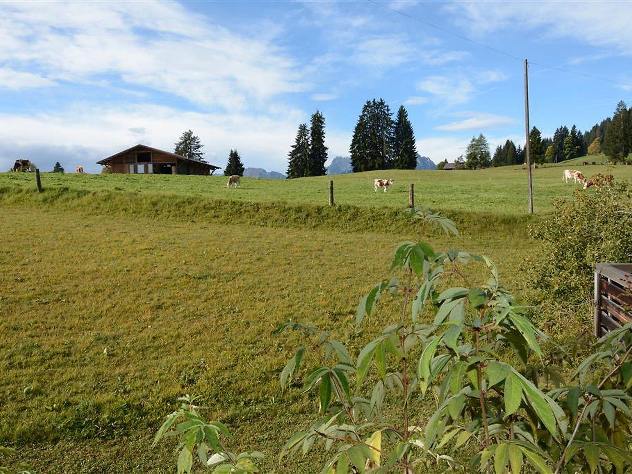 Foto 14 - Appartamento con 3 camere da letto a Saanen con vista sulle montagne