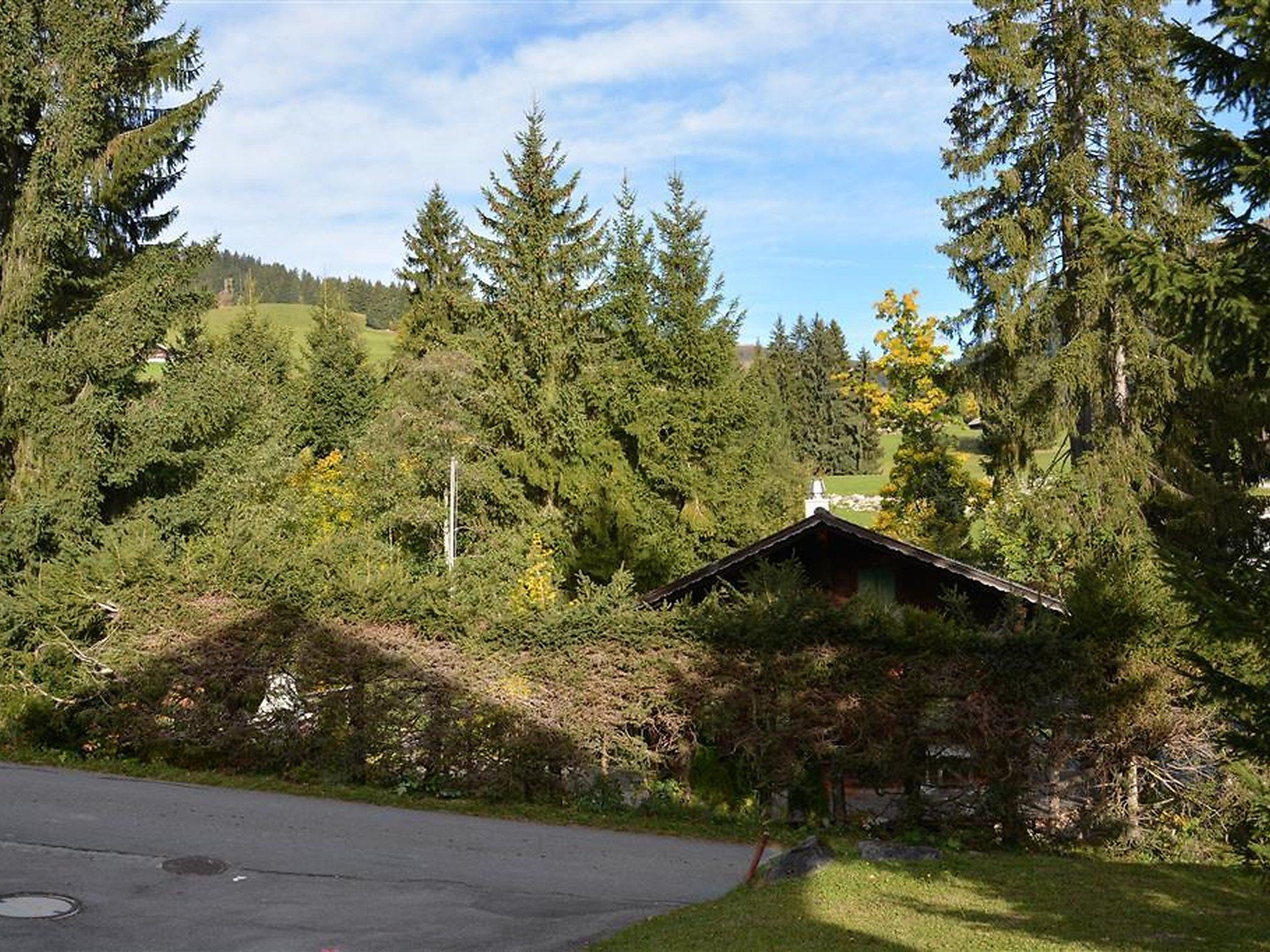 Photo 13 - Appartement de 3 chambres à Gessenay avec vues sur la montagne