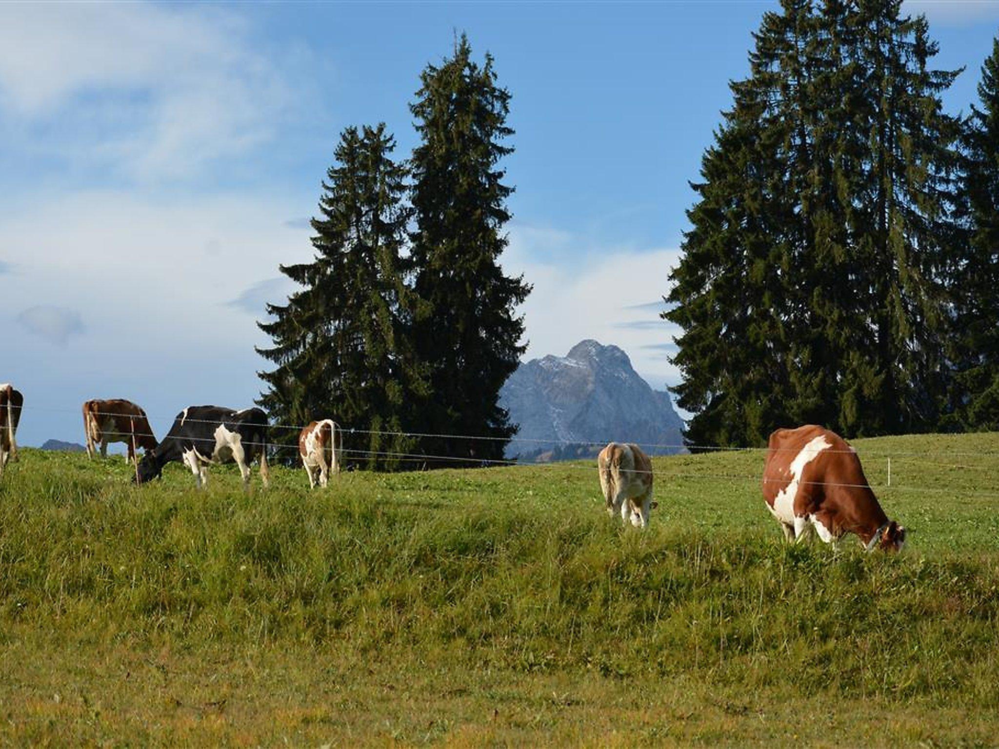 Foto 11 - Appartamento con 3 camere da letto a Saanen con vista sulle montagne