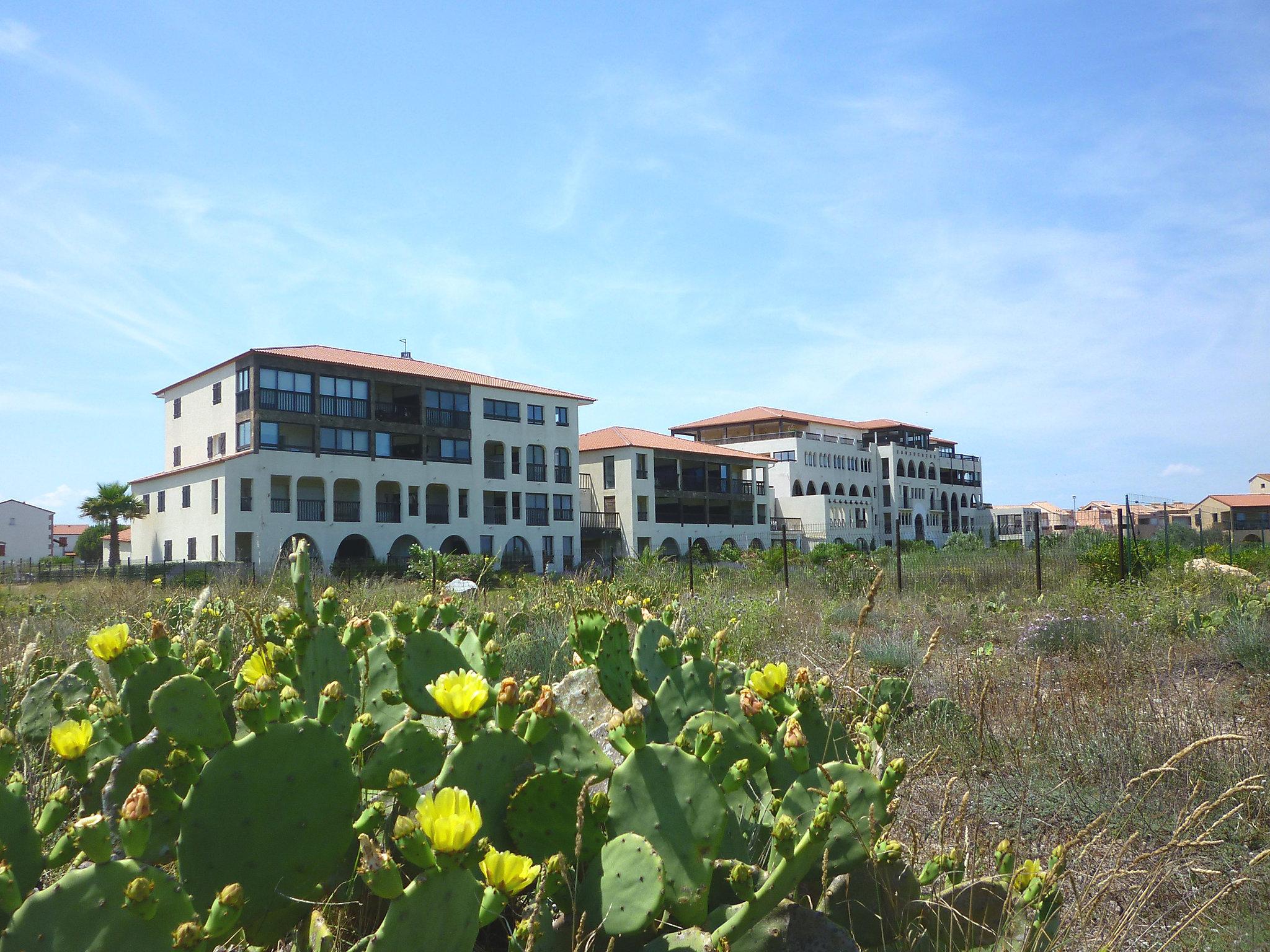 Foto 21 - Apartamento de 2 habitaciones en Saint-Cyprien con piscina y vistas al mar