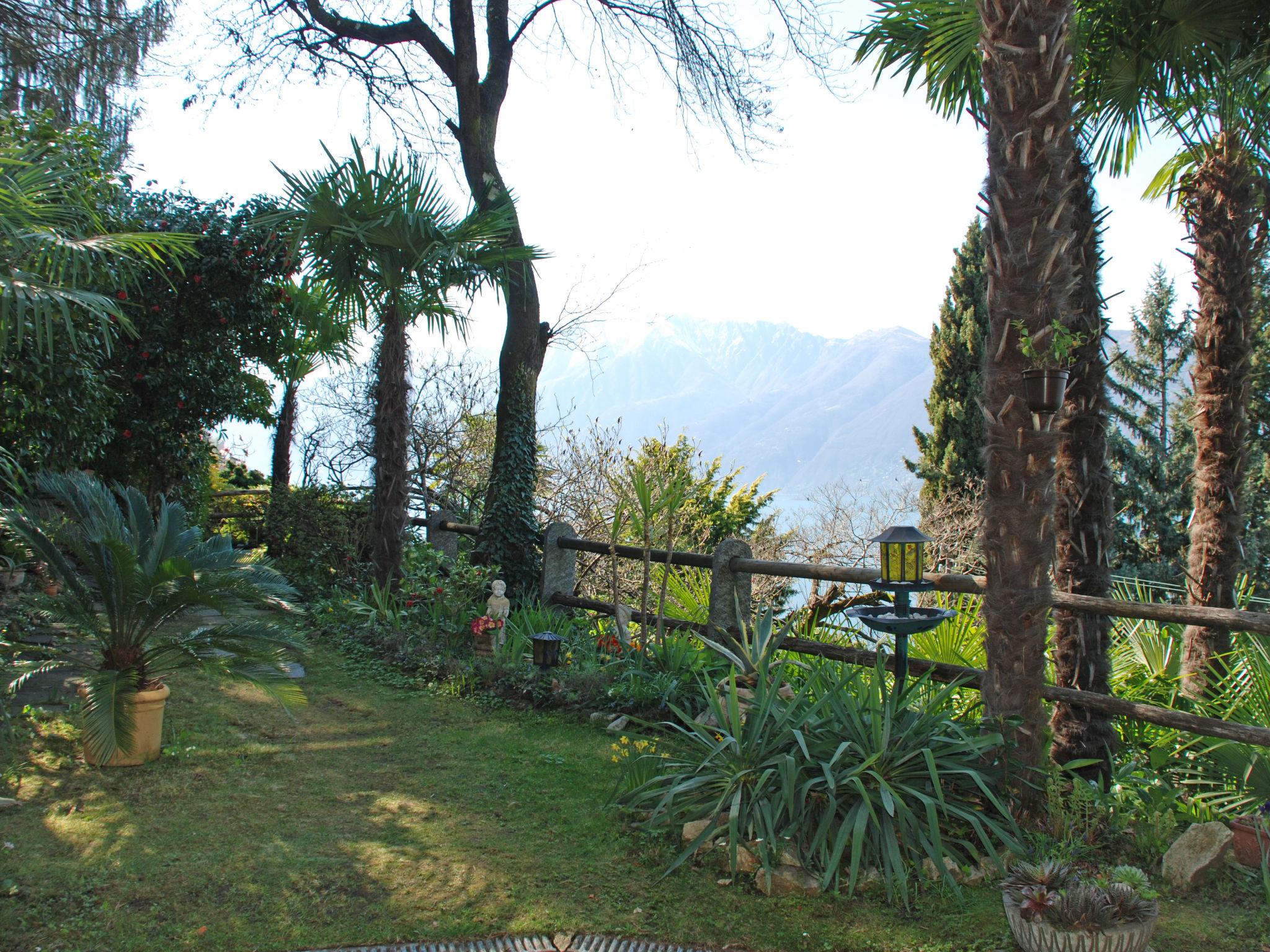 Photo 10 - Apartment in Gambarogno with garden