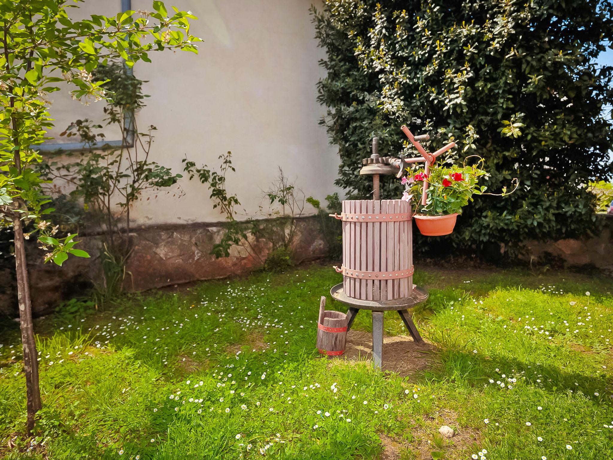 Photo 12 - Maison en Kanfanar avec jardin et terrasse