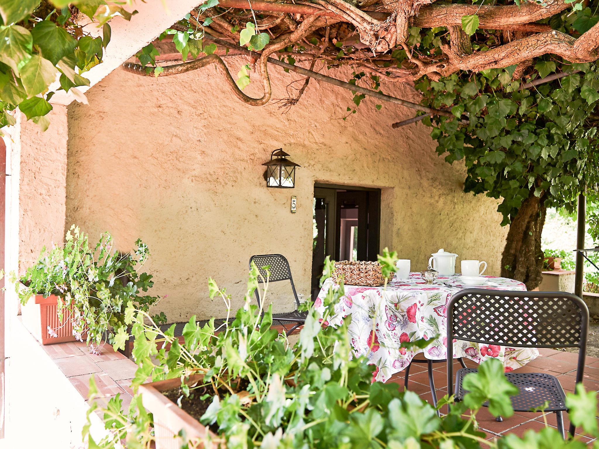 Photo 21 - Maison de 1 chambre à Colle di Val d'Elsa avec piscine et jardin