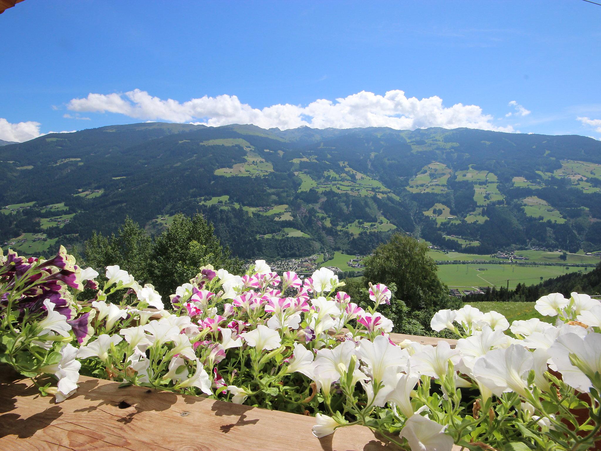 Foto 13 - Appartamento con 3 camere da letto a Aschau im Zillertal con vista sulle montagne