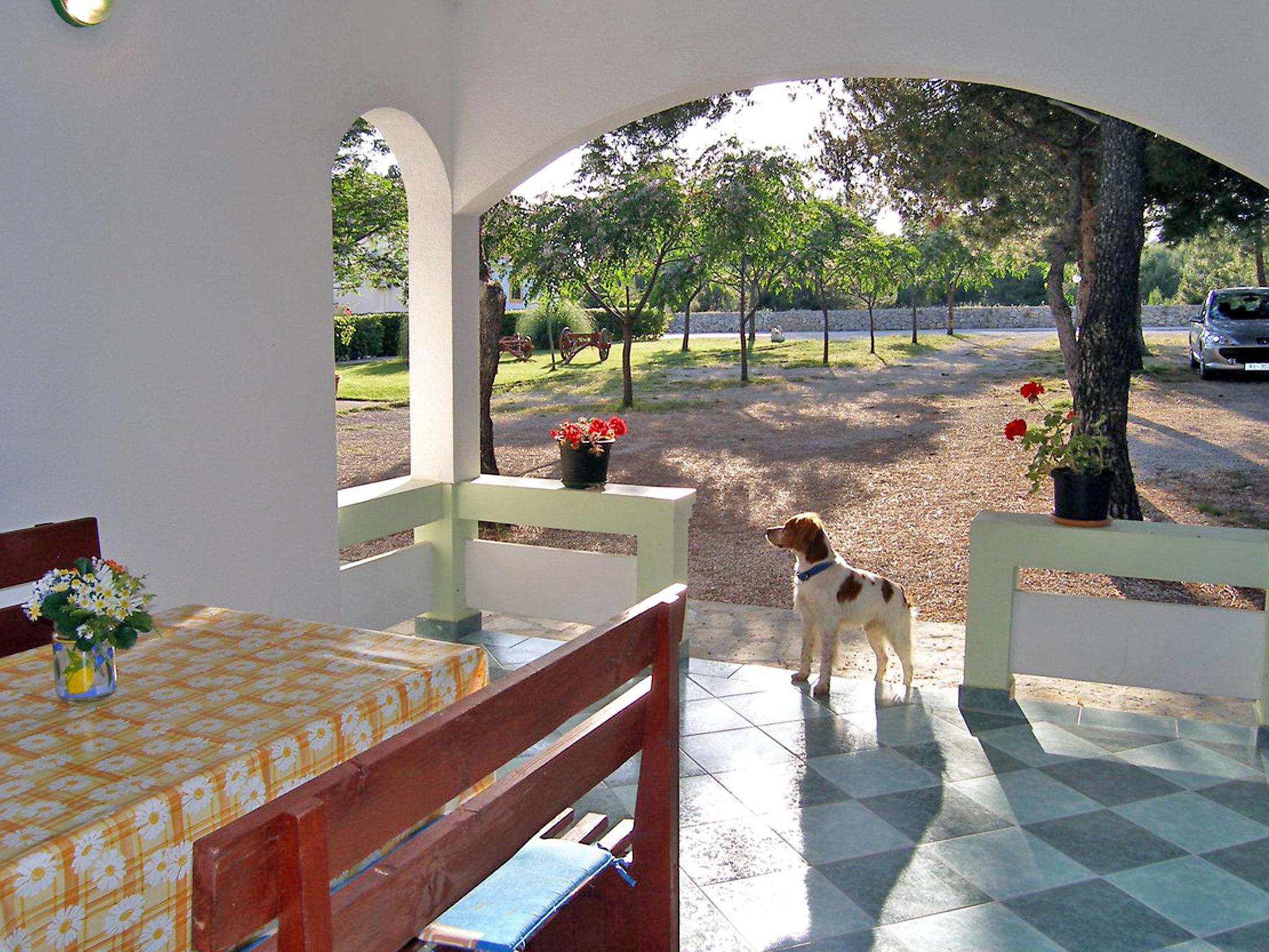 Photo 3 - Maison de 2 chambres à Vir avec piscine et jardin