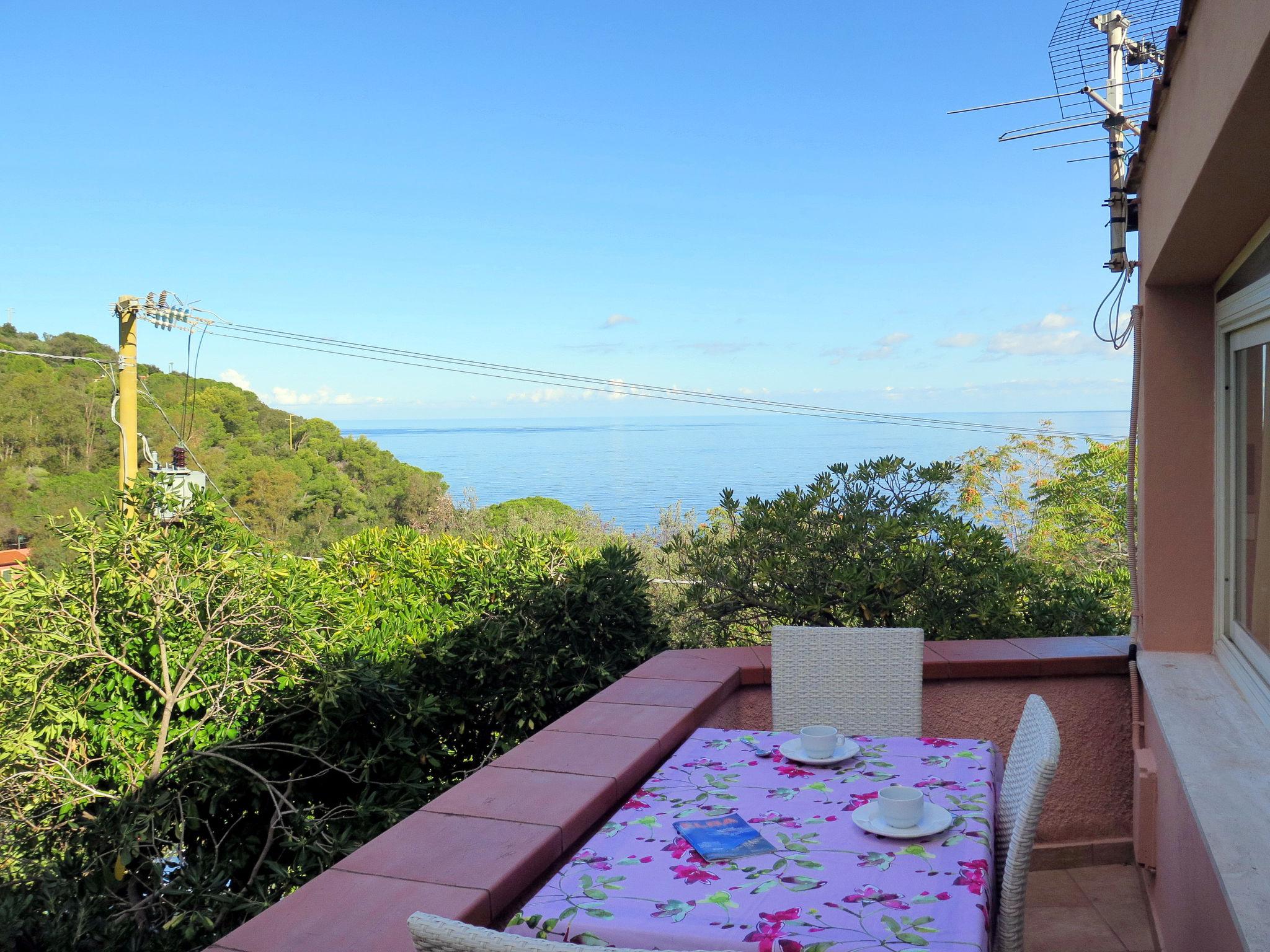 Foto 10 - Appartamento con 1 camera da letto a Portoferraio con giardino e vista mare