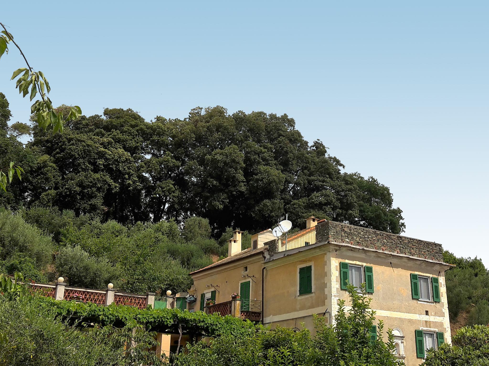 Foto 2 - Apartamento de 3 quartos em Celle Ligure com terraço e vistas do mar