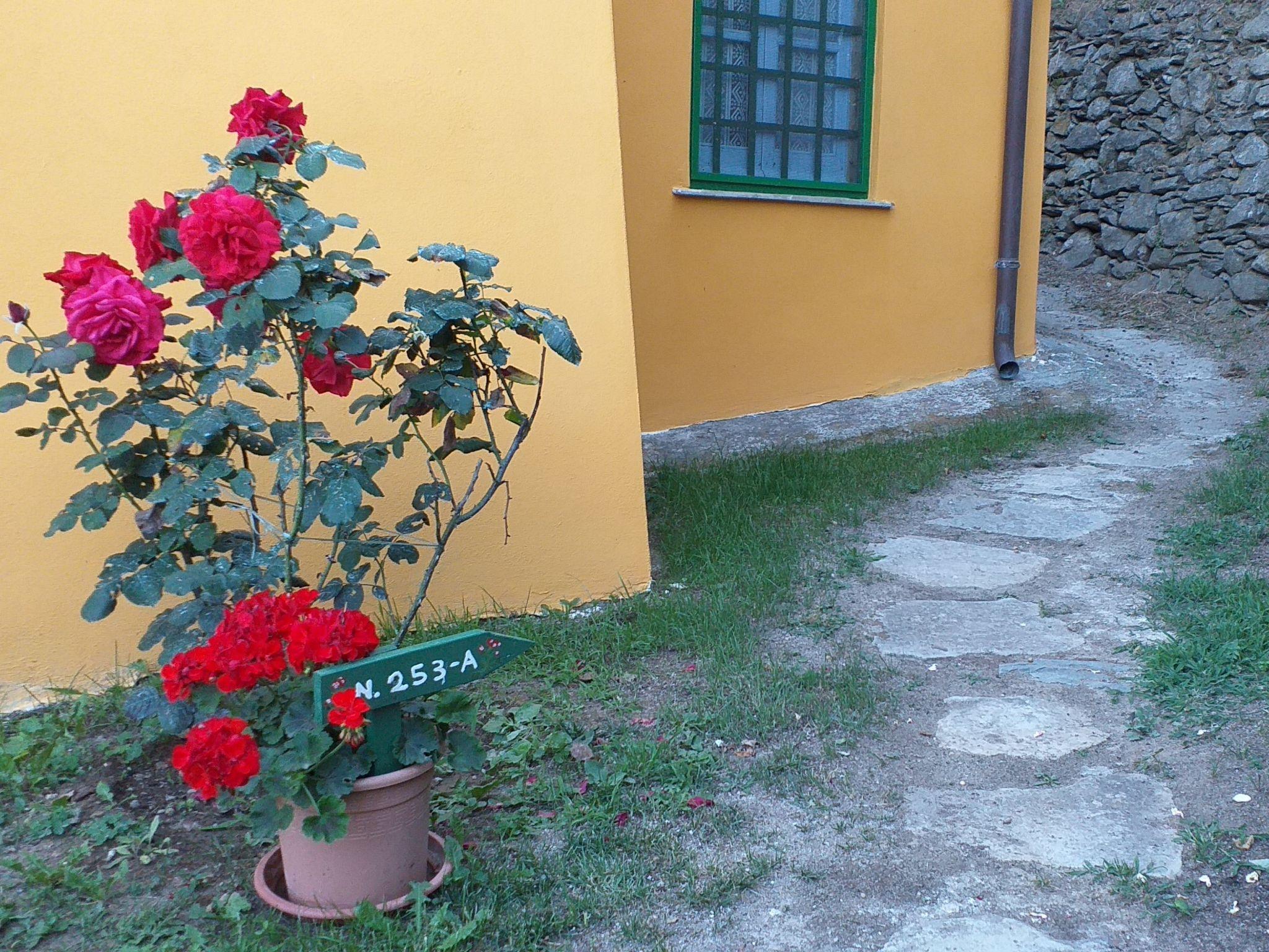 Photo 30 - Appartement de 3 chambres à Celle Ligure avec jardin et terrasse