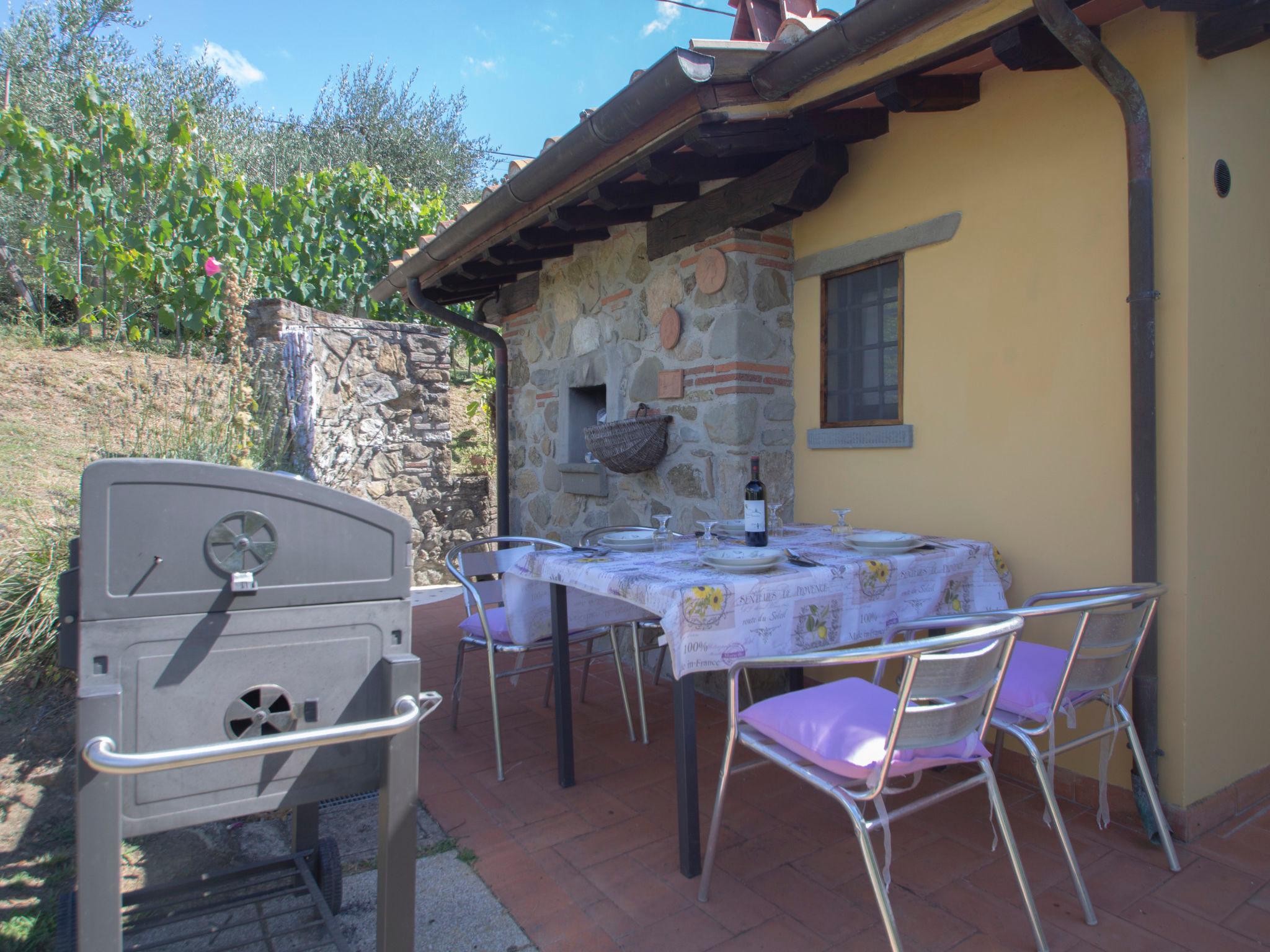Photo 23 - 1 bedroom House in Pescia with private pool and garden