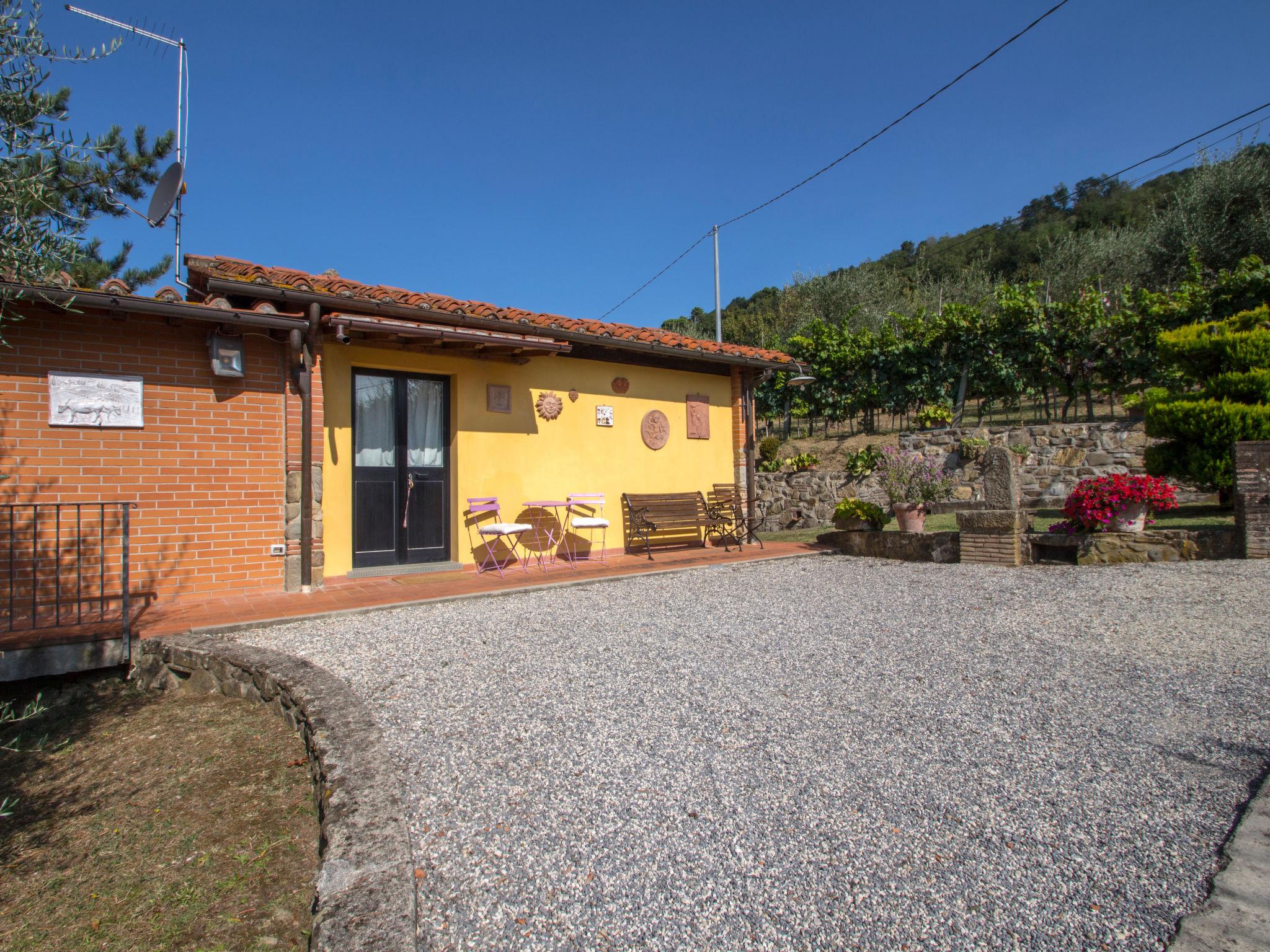 Photo 18 - Maison de 1 chambre à Pescia avec piscine privée et jardin