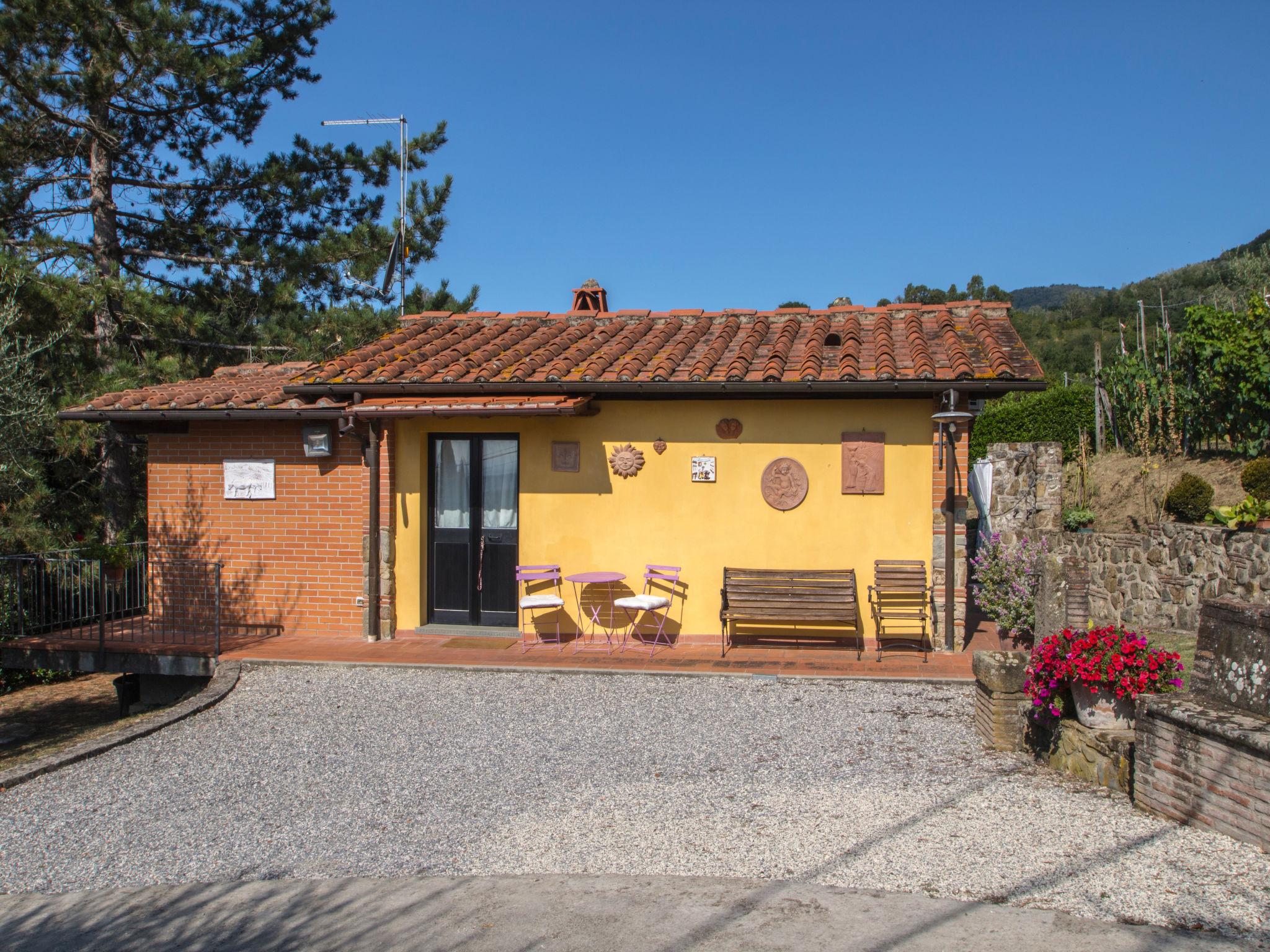 Foto 1 - Casa con 1 camera da letto a Pescia con piscina privata e giardino