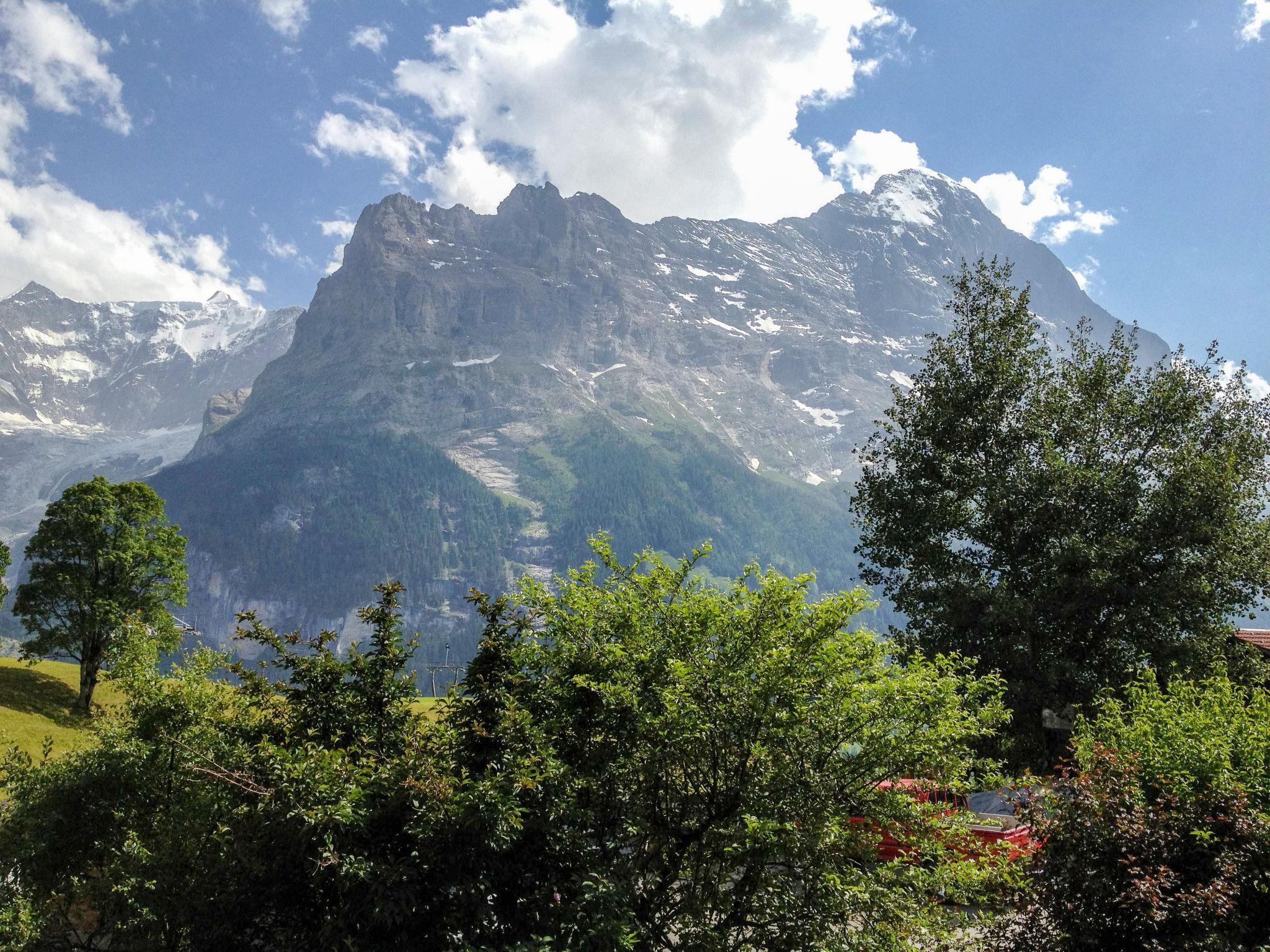 Foto 15 - Appartamento con 2 camere da letto a Grindelwald con giardino