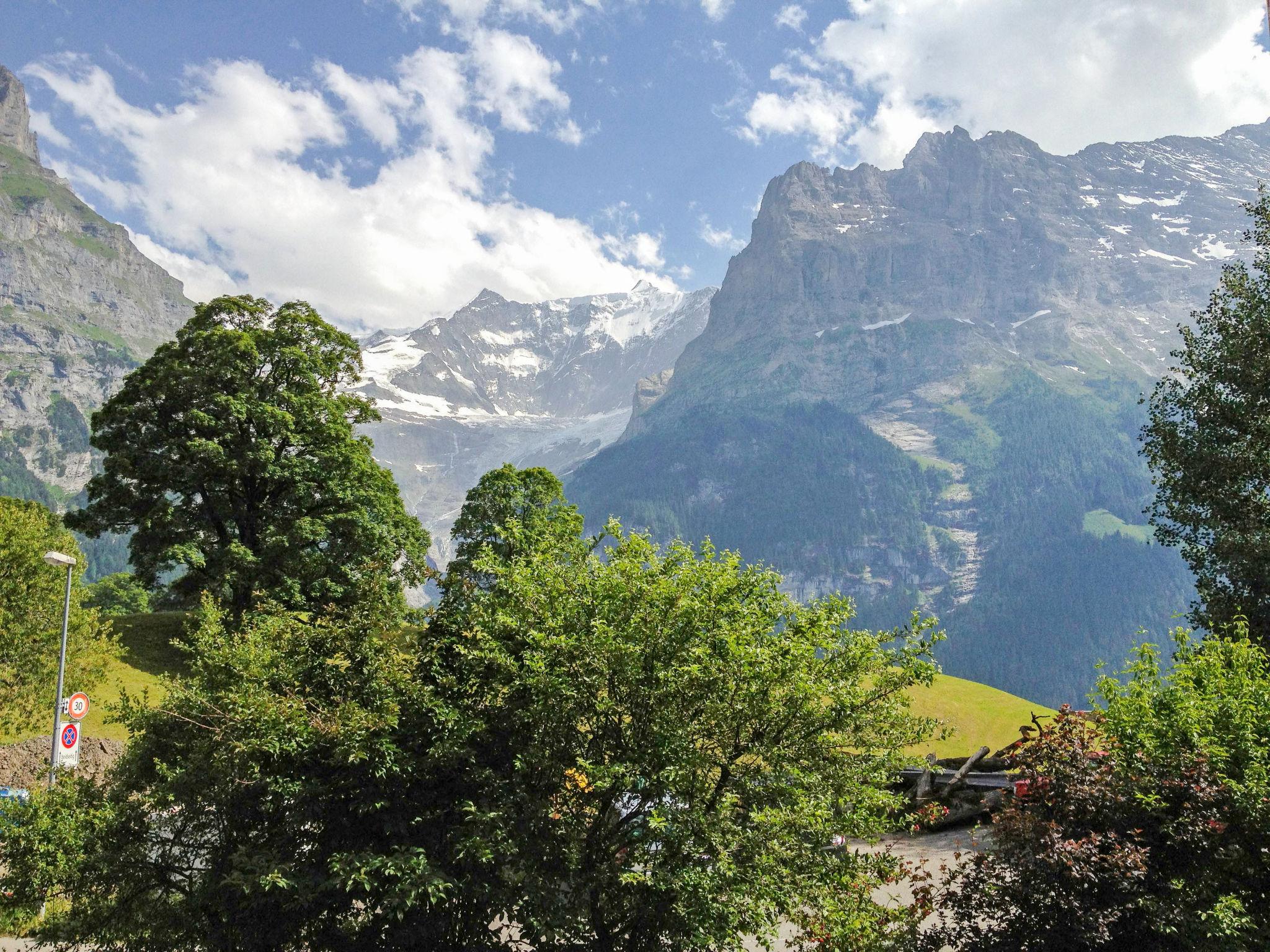 Foto 14 - Appartamento con 2 camere da letto a Grindelwald con giardino