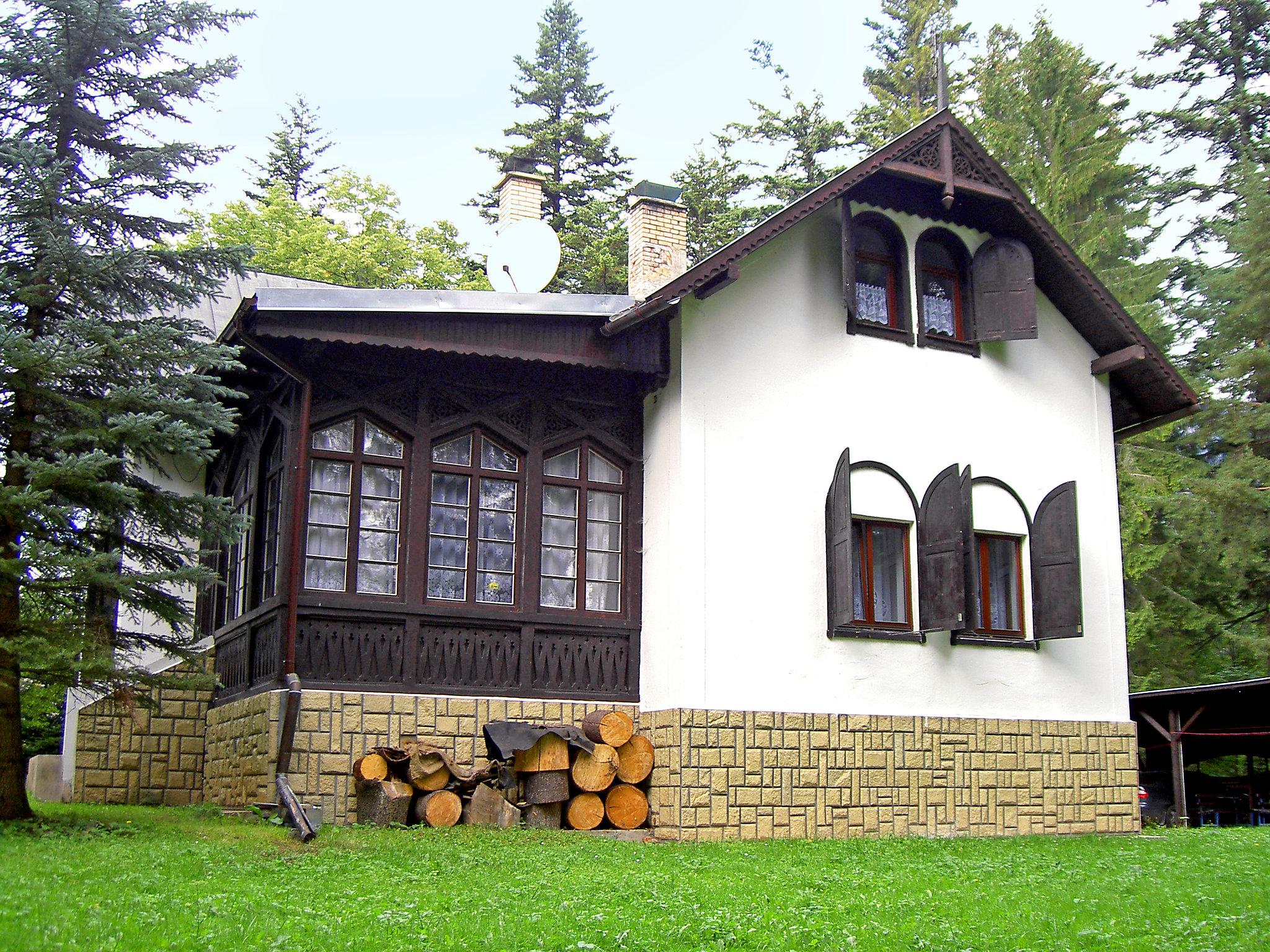 Photo 1 - Maison de 6 chambres à Vysoké Tatry avec jardin et vues sur la montagne