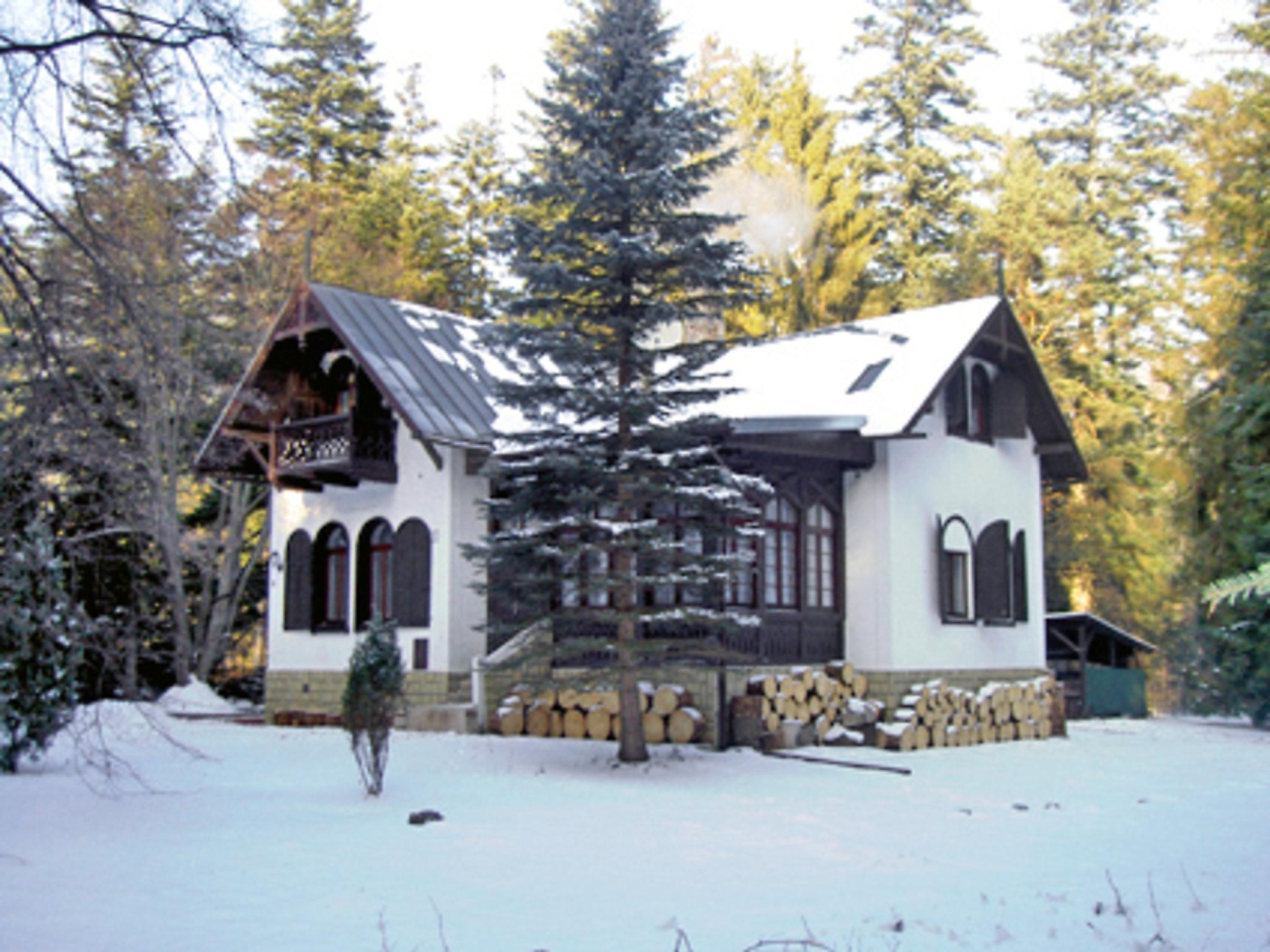Foto 18 - Casa de 6 quartos em Vysoké Tatry com jardim e vista para a montanha