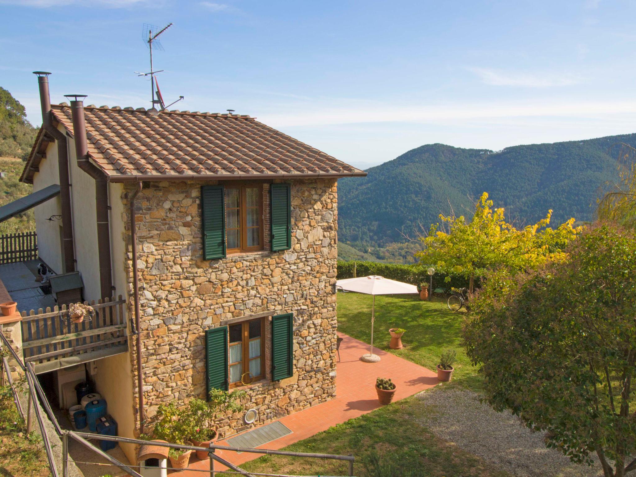 Foto 21 - Casa de 2 habitaciones en Capannori con piscina privada y jardín
