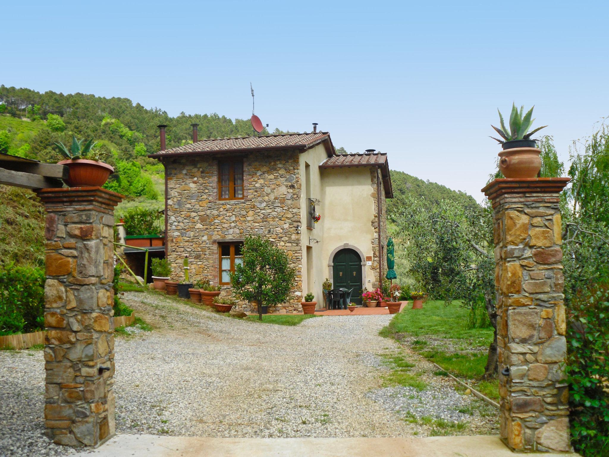 Foto 23 - Casa de 2 habitaciones en Capannori con piscina privada y jardín