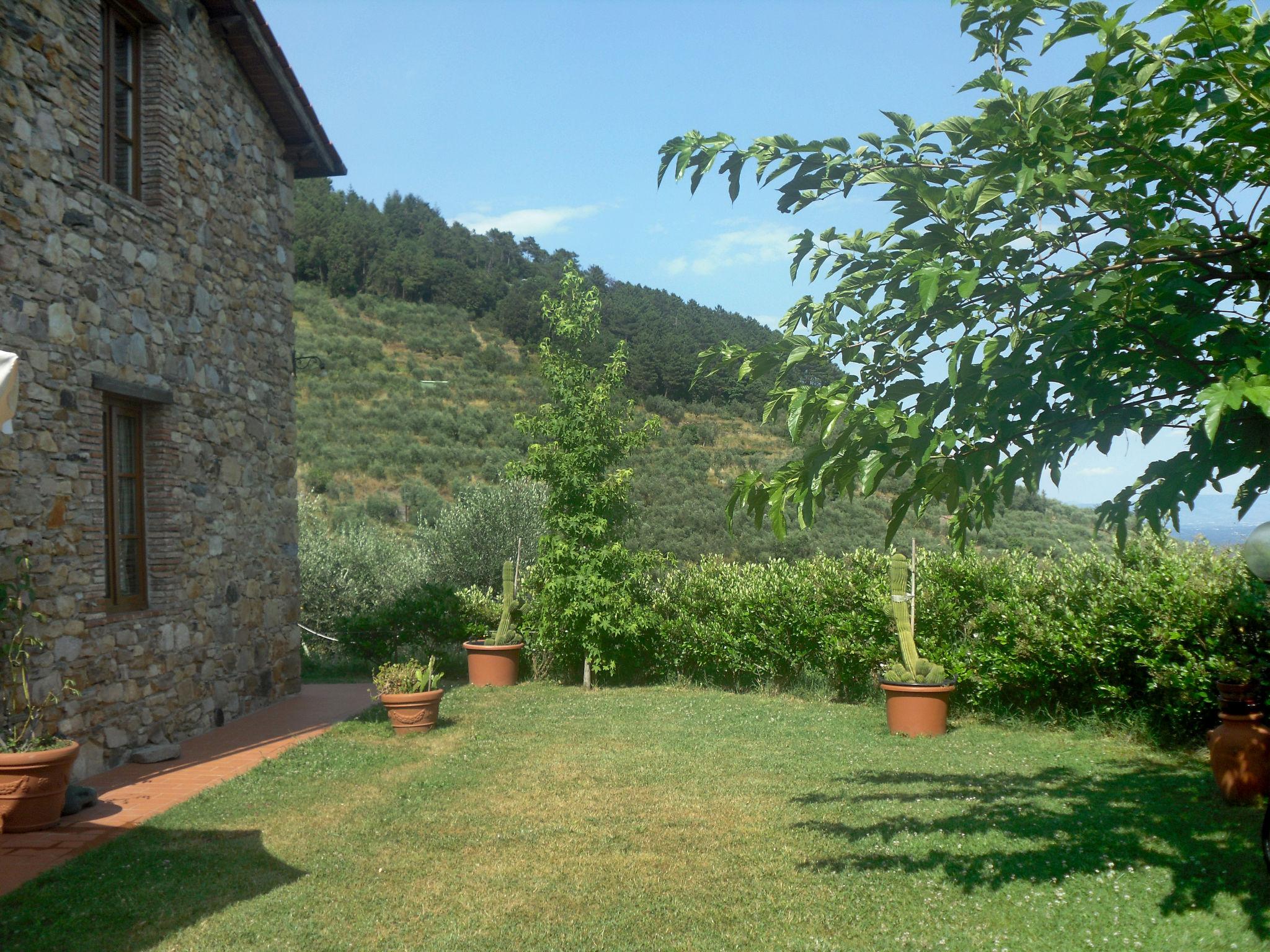 Foto 20 - Casa con 2 camere da letto a Capannori con piscina privata e giardino