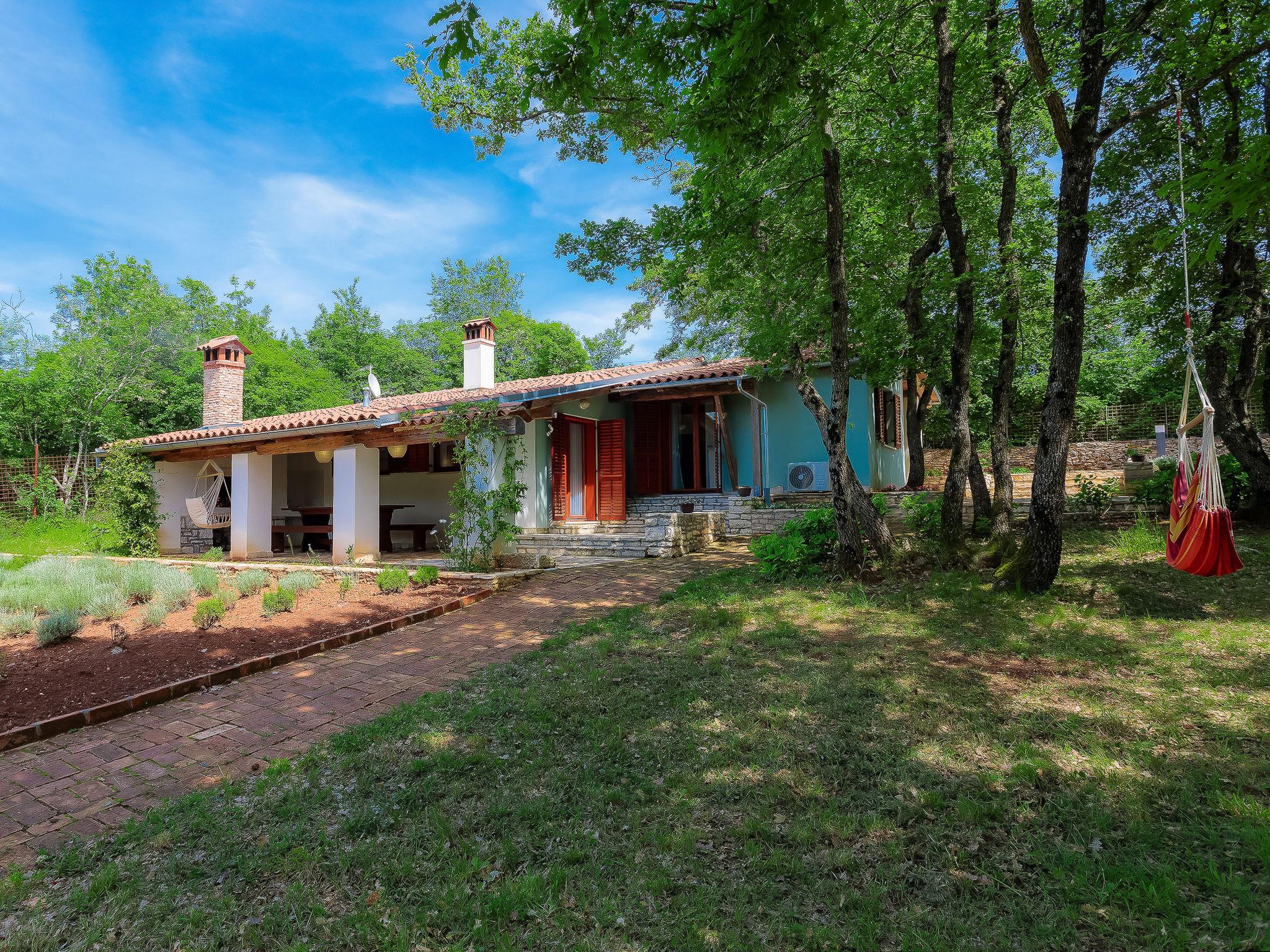 Foto 20 - Casa de 2 quartos em Marčana com piscina privada e jardim