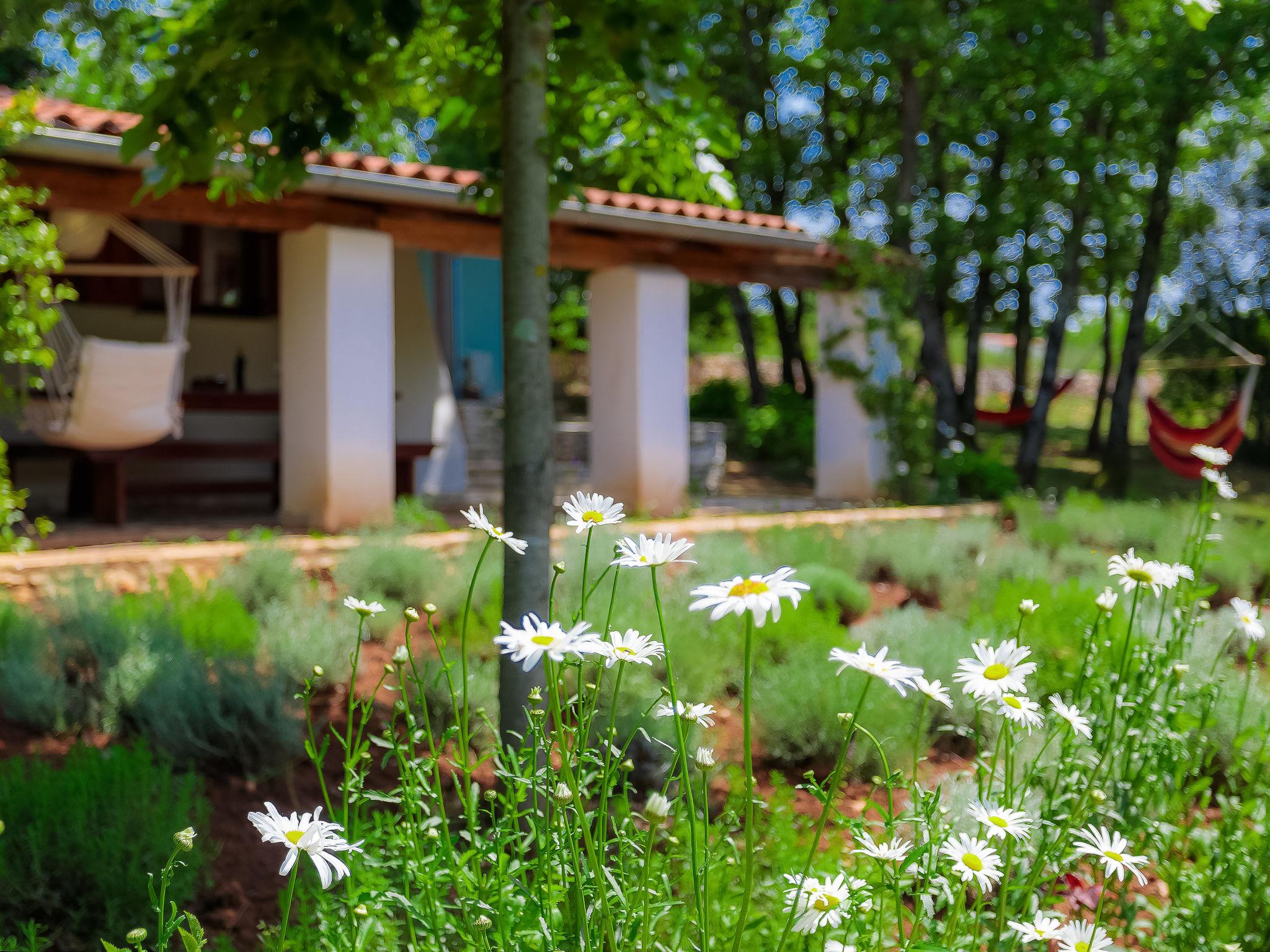 Foto 25 - Casa con 2 camere da letto a Marčana con piscina privata e giardino