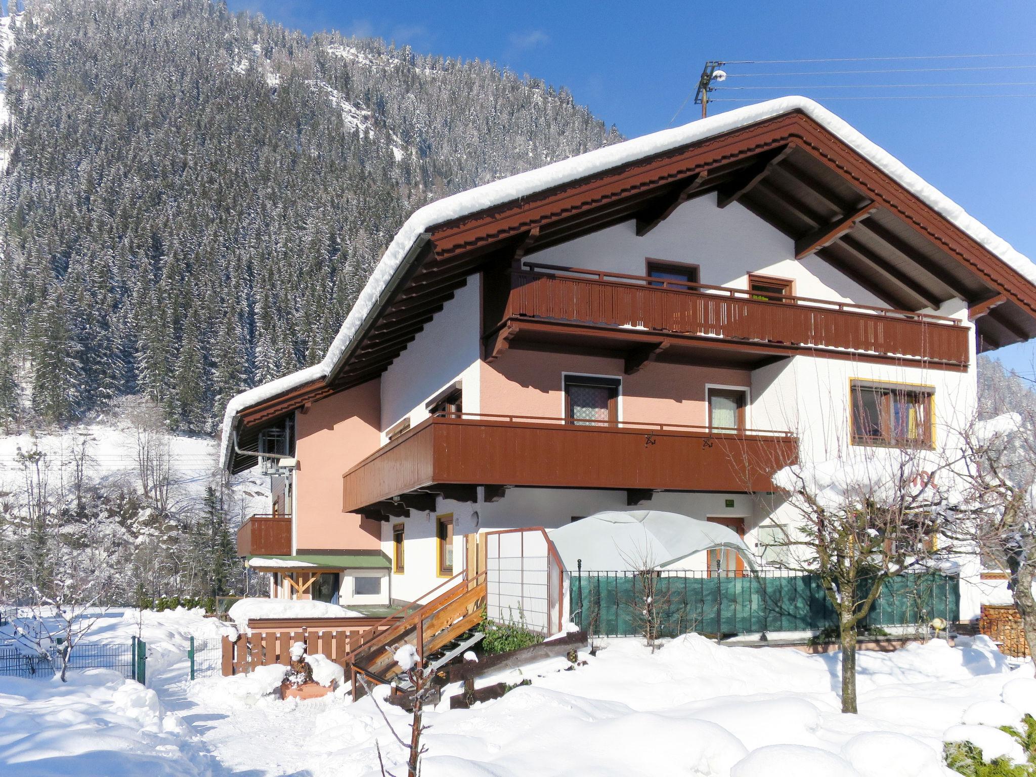 Foto 39 - Casa de 16 habitaciones en Mayrhofen con vistas a la montaña