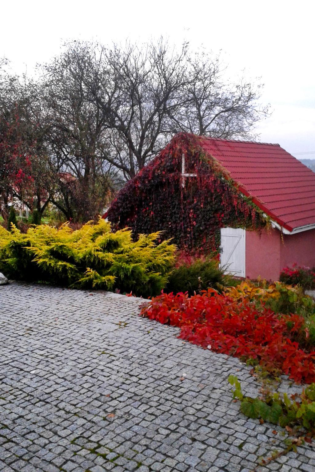 Photo 19 - 3 bedroom House in Zielonki with garden and terrace