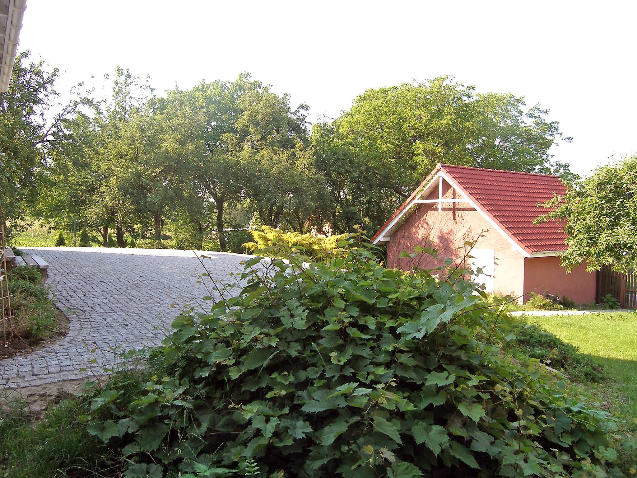 Photo 20 - Maison de 3 chambres à Zielonki avec jardin et terrasse