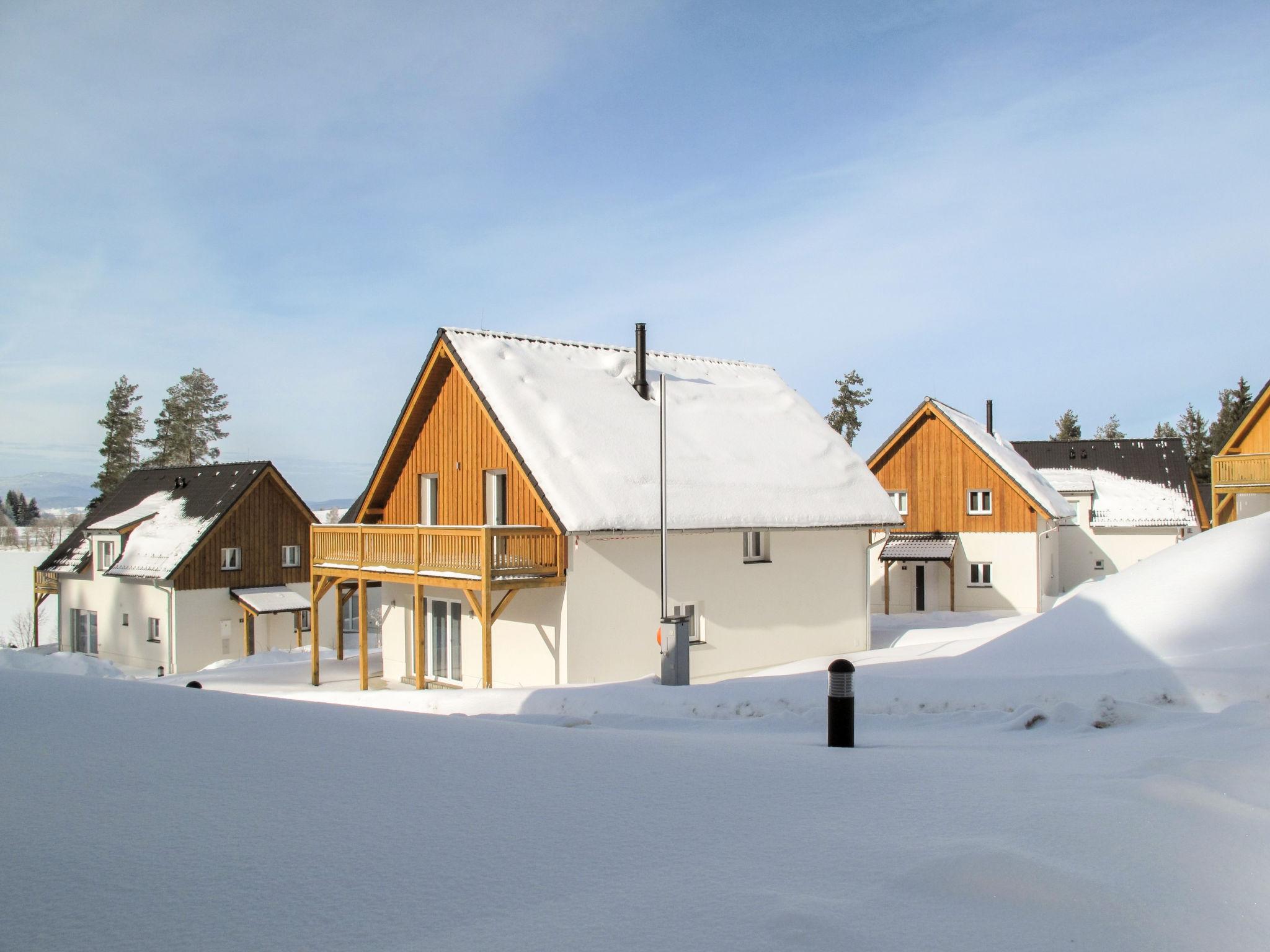 Photo 32 - Maison de 4 chambres à Frymburk avec terrasse et vues sur la montagne