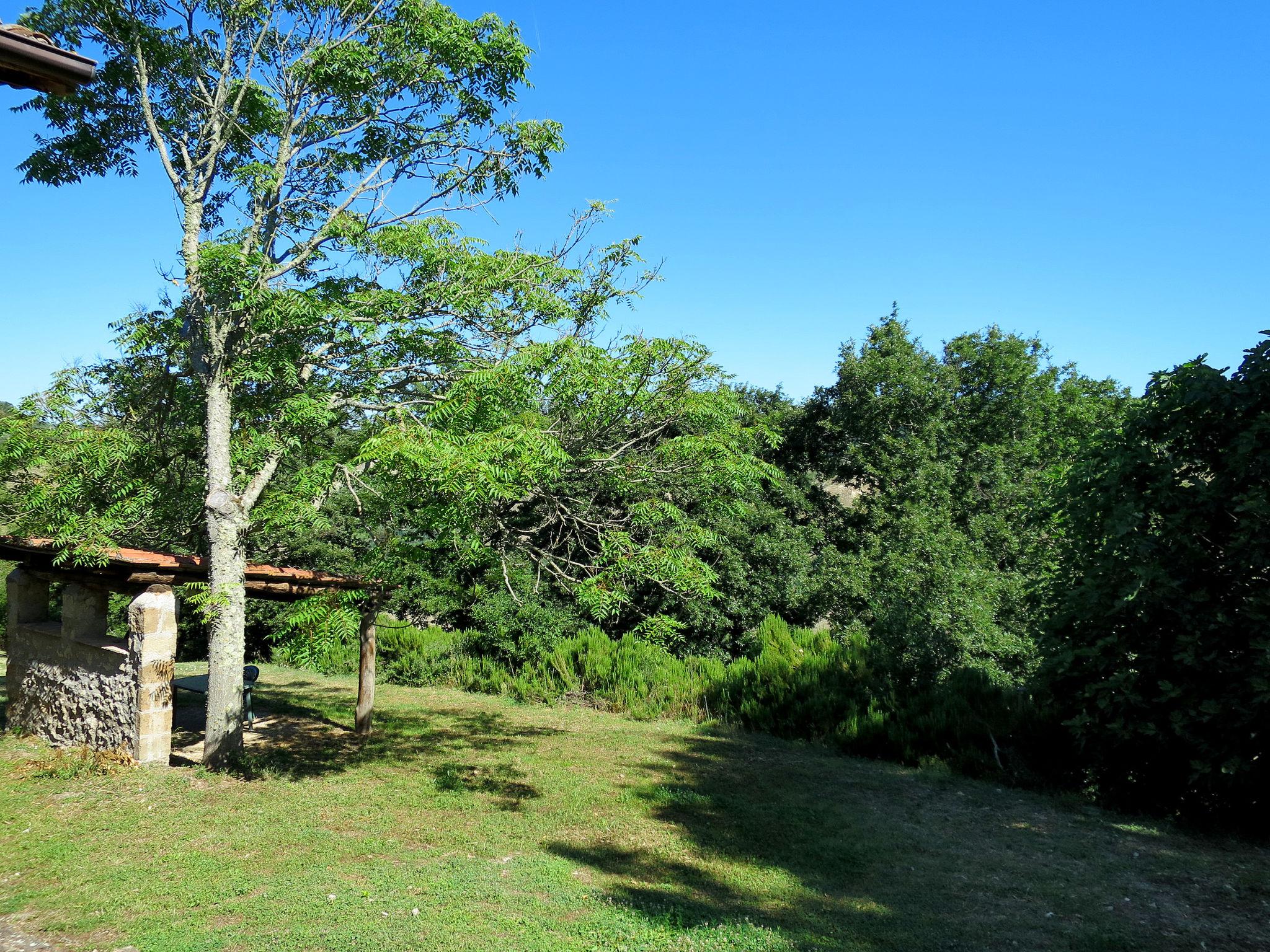 Foto 10 - Apartamento de 1 quarto em Bagnoregio com piscina e jardim