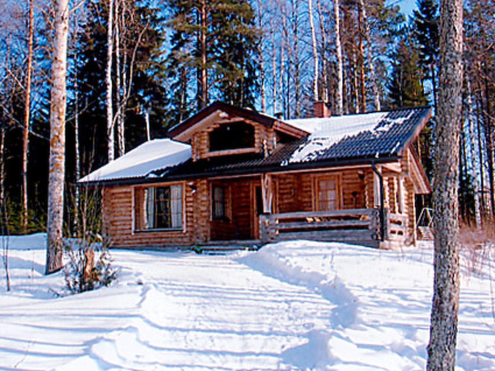 Foto 2 - Haus mit 1 Schlafzimmer in Hankasalmi mit sauna