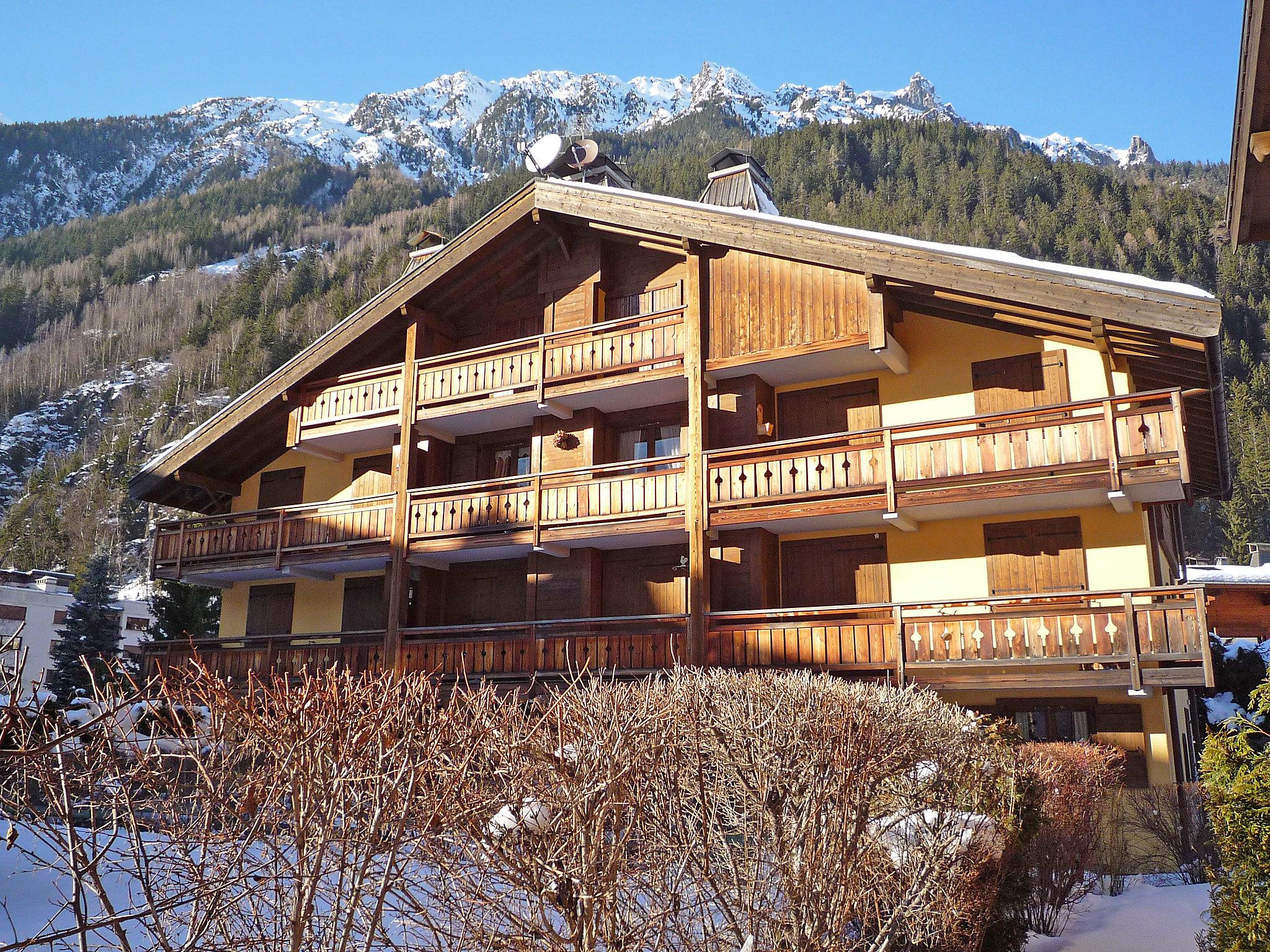 Foto 19 - Apartamento de 2 quartos em Chamonix-Mont-Blanc com vista para a montanha