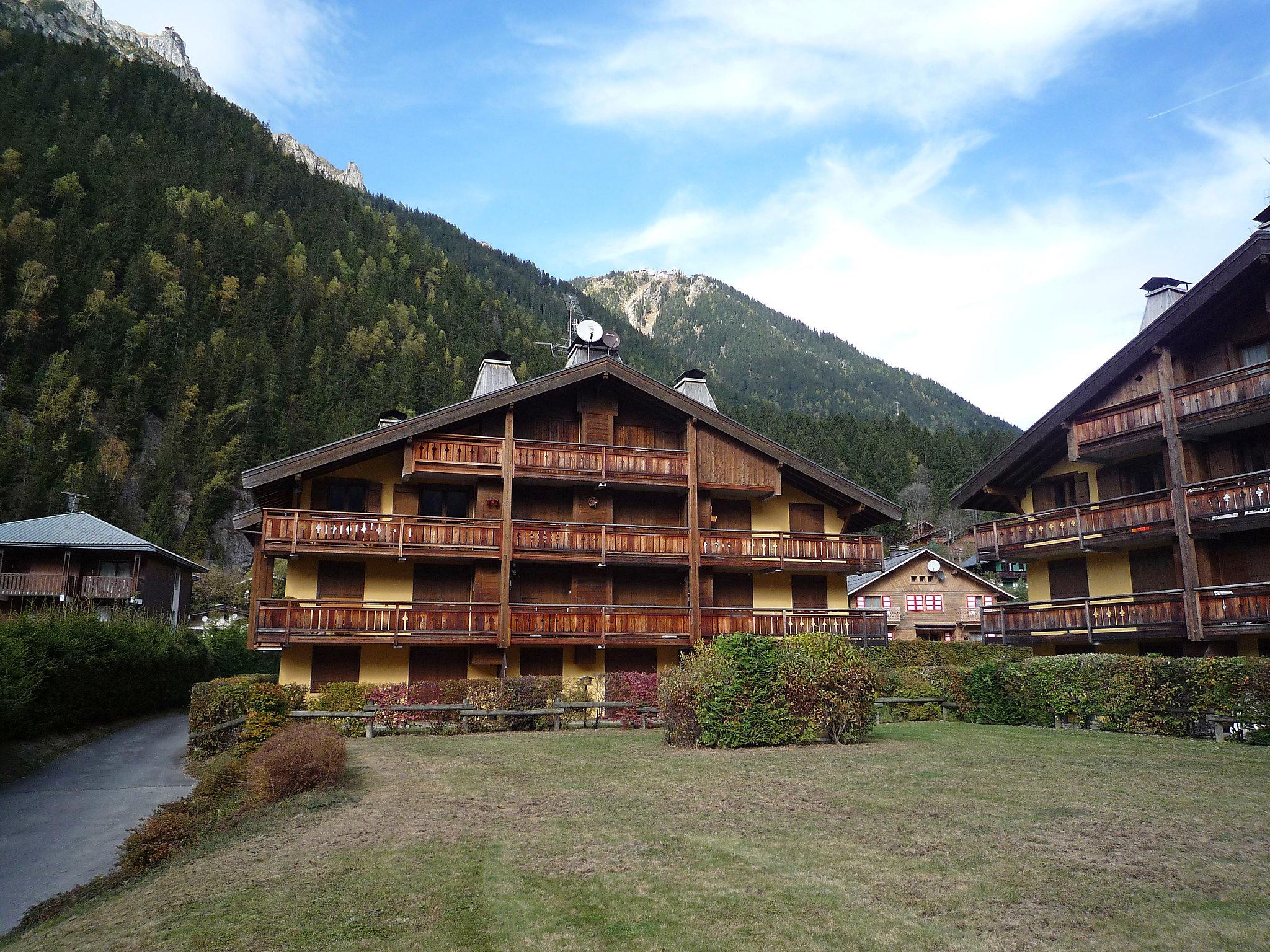 Photo 16 - 2 bedroom Apartment in Chamonix-Mont-Blanc with mountain view