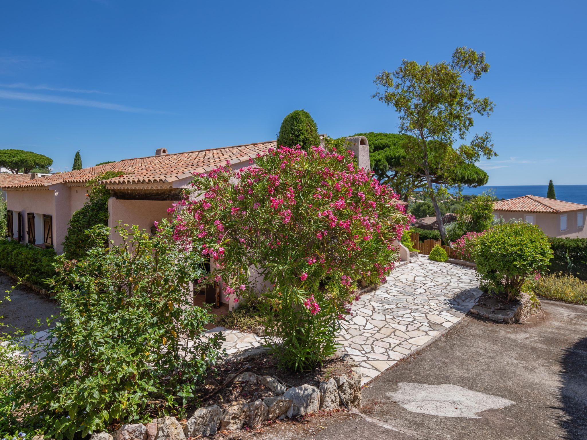 Foto 29 - Casa de 3 quartos em Roquebrune-sur-Argens com jardim e terraço