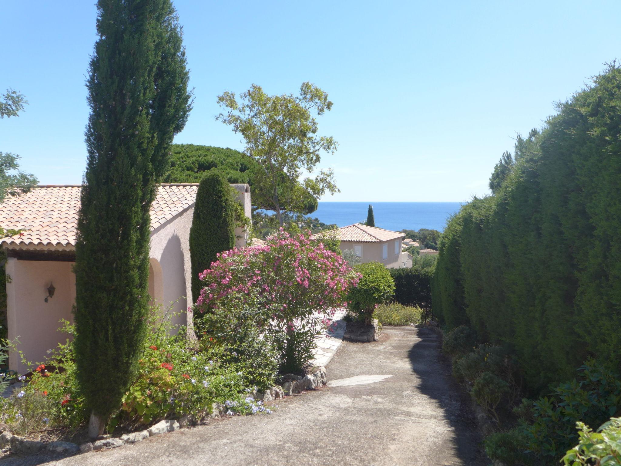Foto 28 - Haus mit 3 Schlafzimmern in Roquebrune-sur-Argens mit terrasse und blick aufs meer