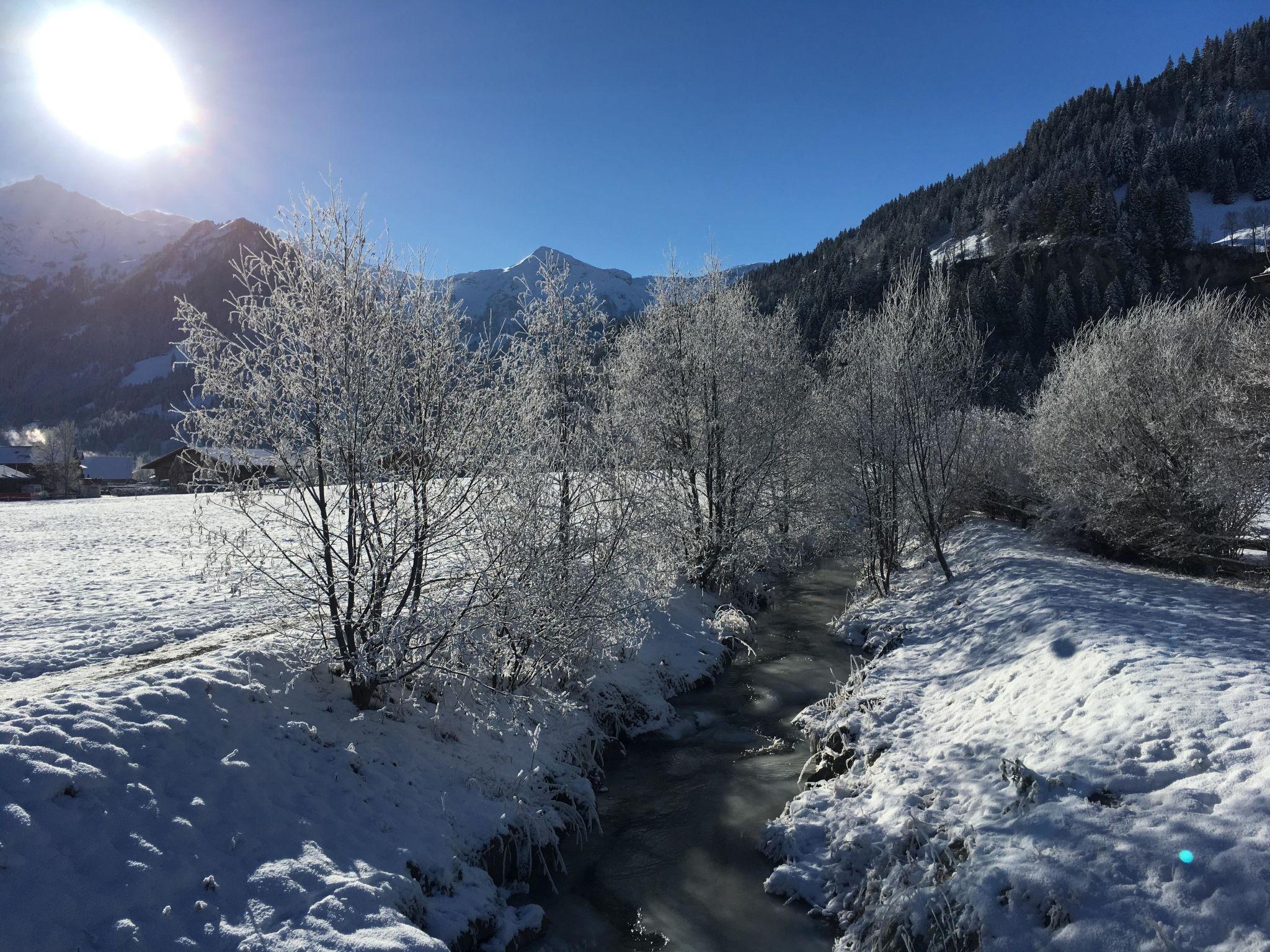 Photo 31 - 1 bedroom Apartment in Lenk with garden