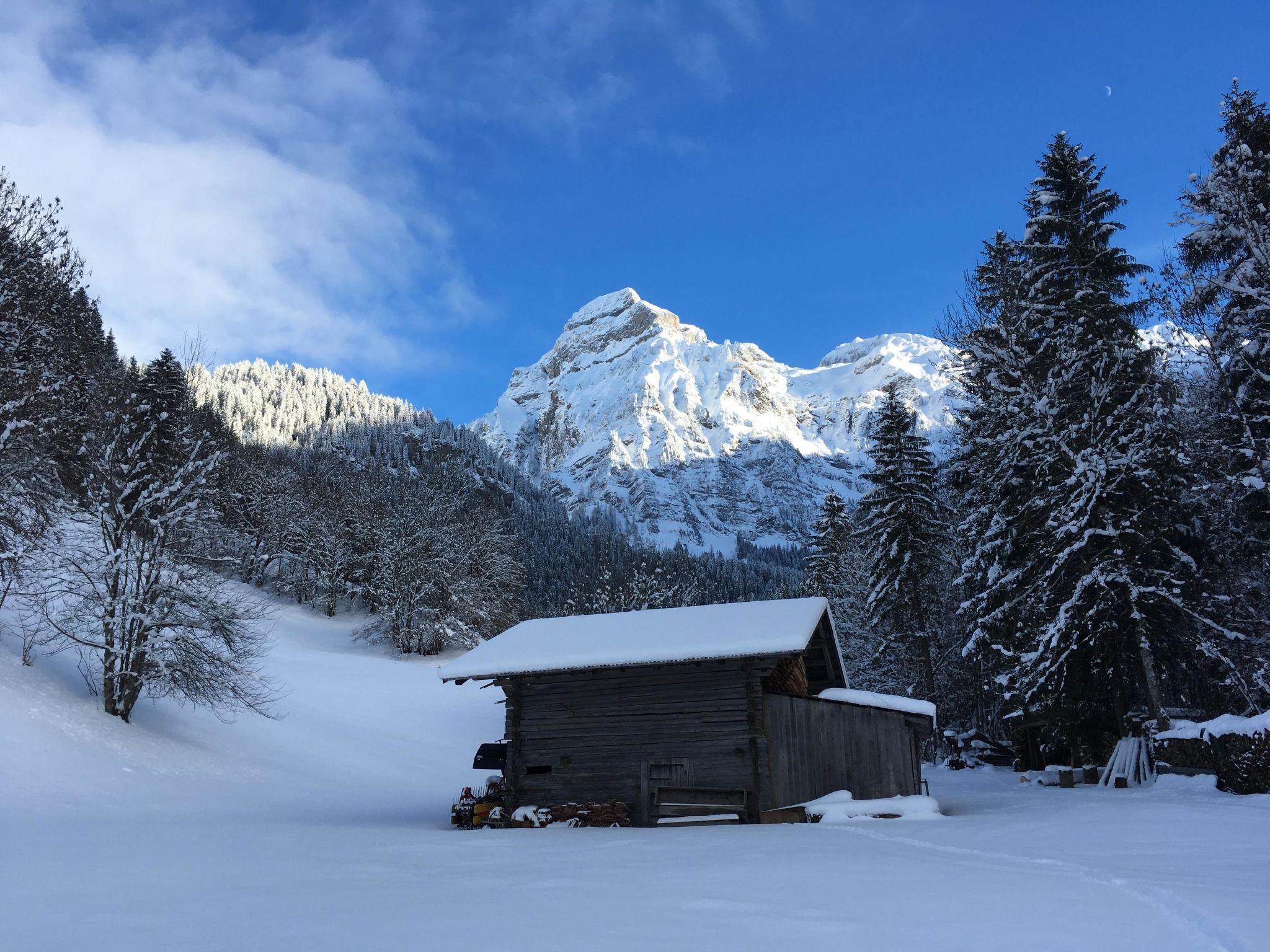 Photo 24 - 1 bedroom Apartment in Lenk with garden