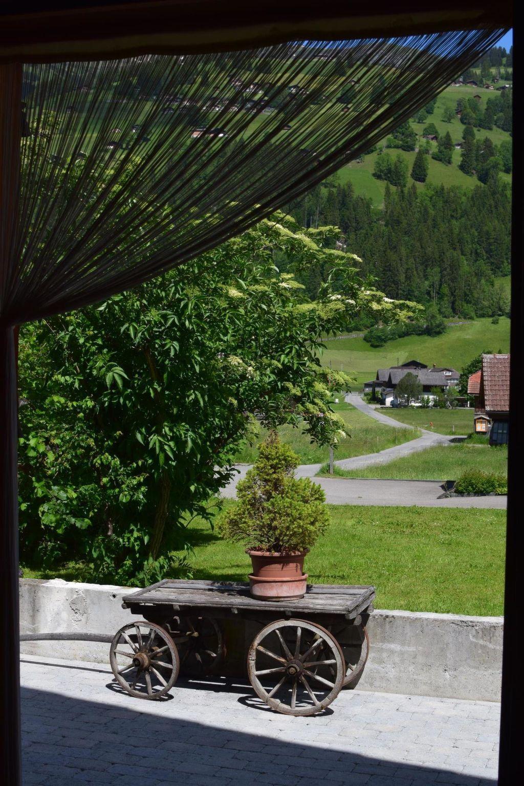 Photo 10 - Appartement de 1 chambre à Lenk avec jardin