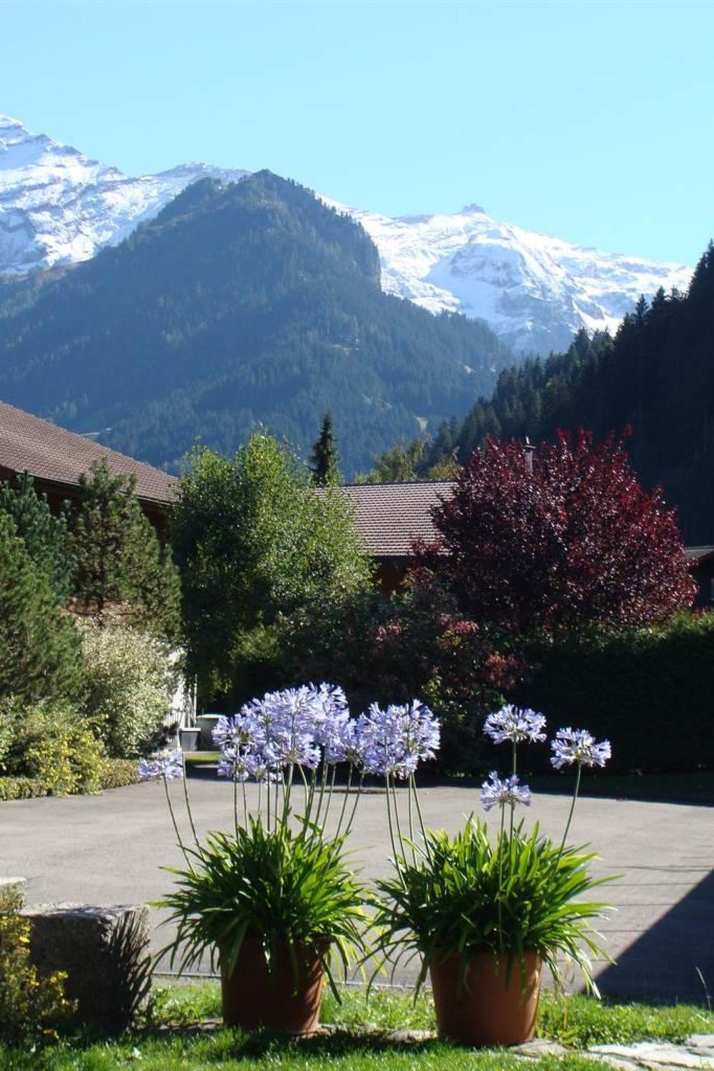 Photo 2 - Appartement de 1 chambre à Lenk avec jardin