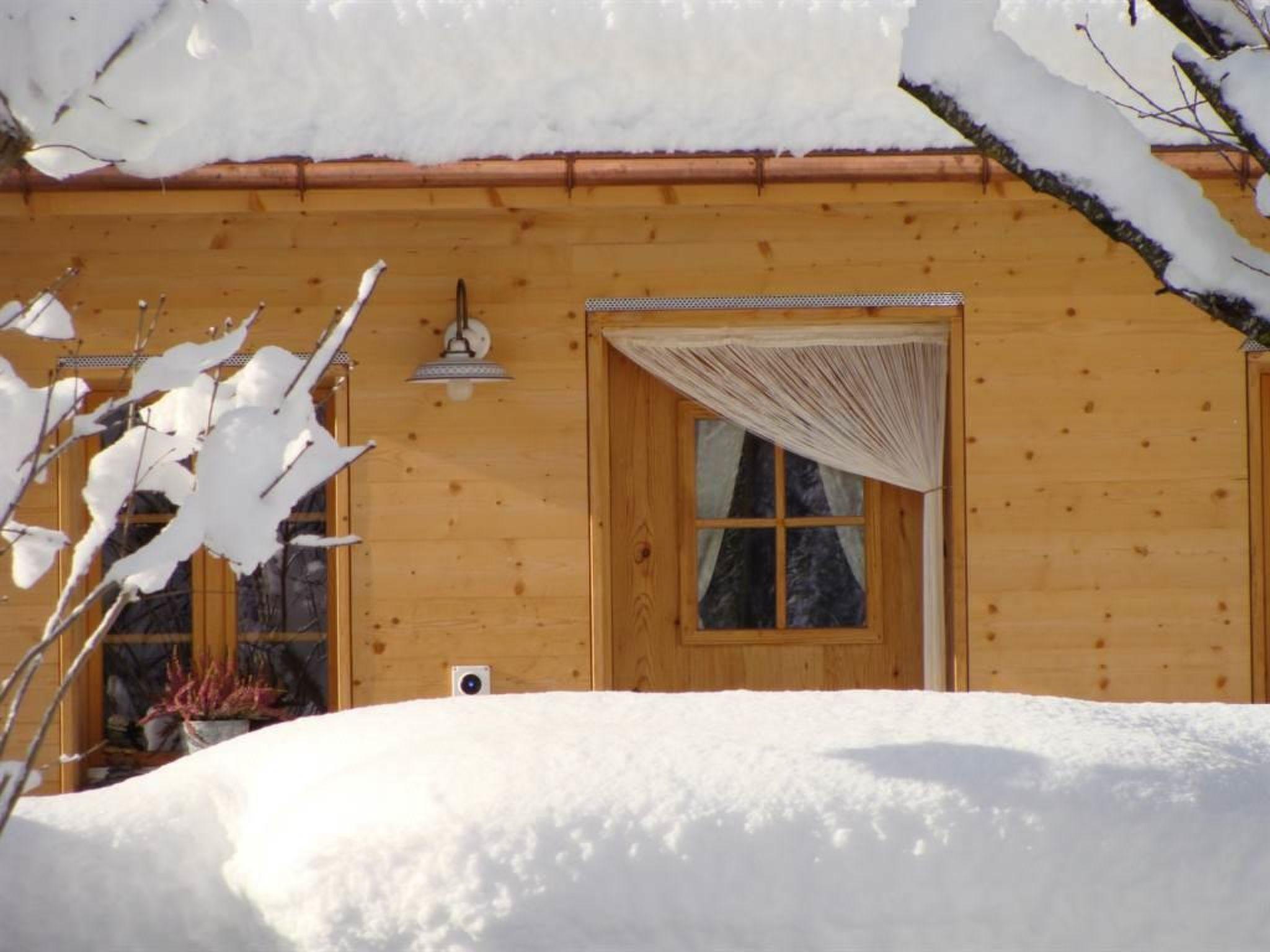 Foto 7 - Appartamento con 1 camera da letto a Lenk con giardino